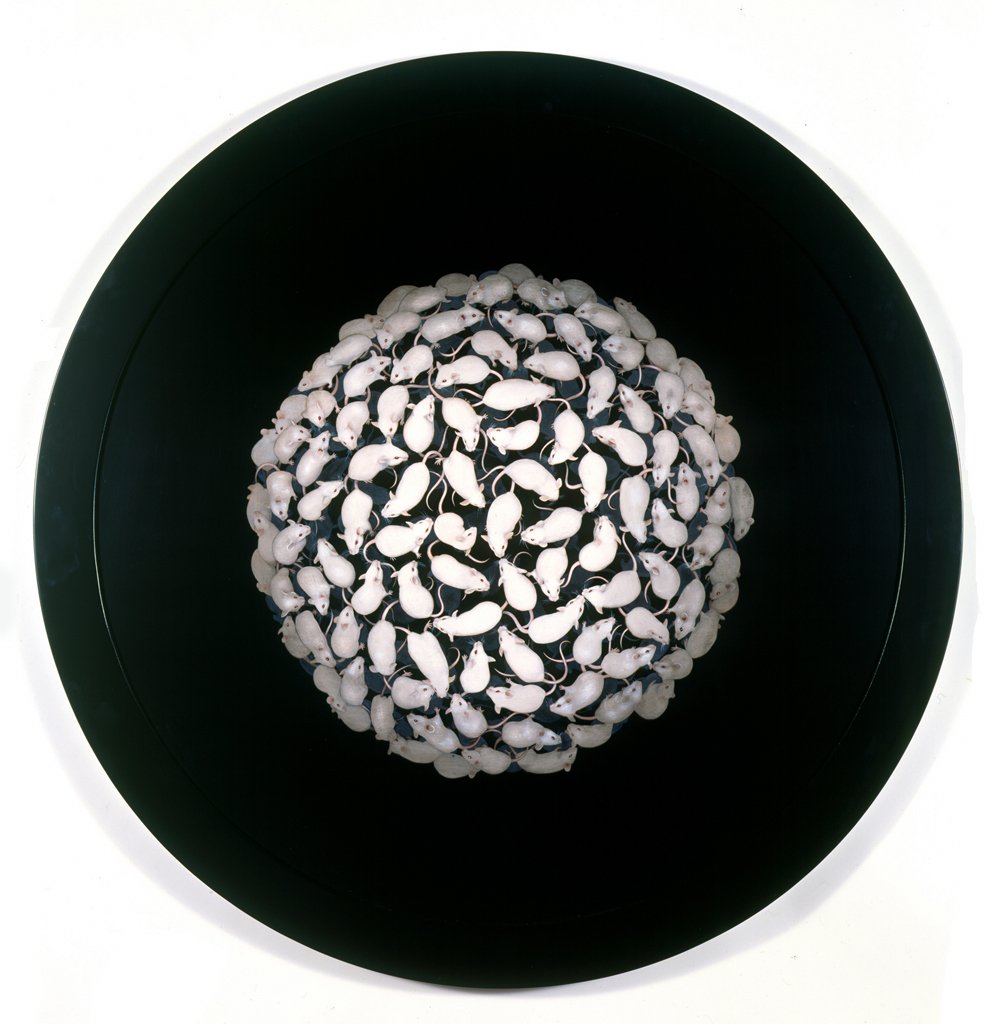 Metronome,  48” diameter, acrylic on maple panel, 2007