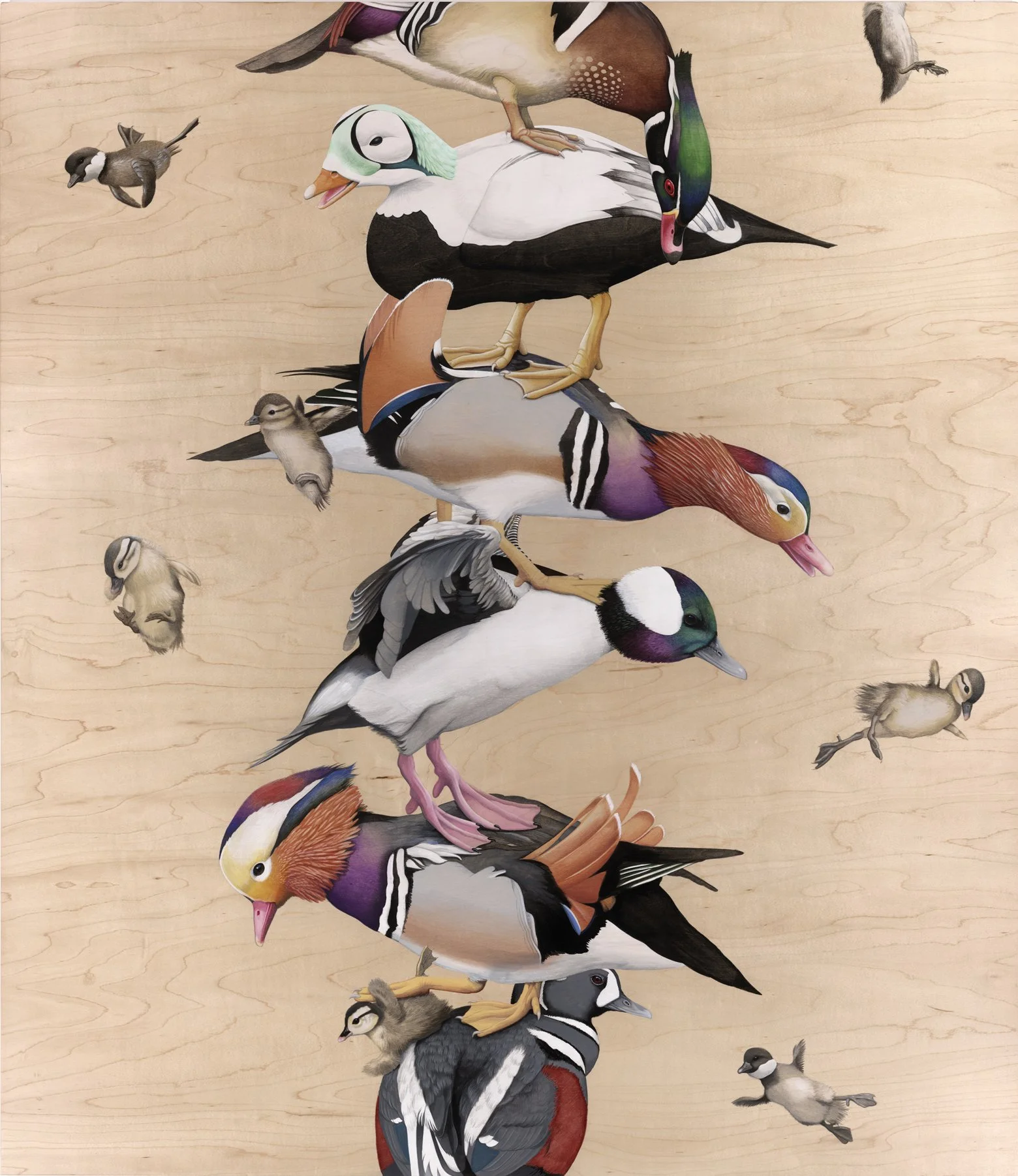 Ducks in a Row