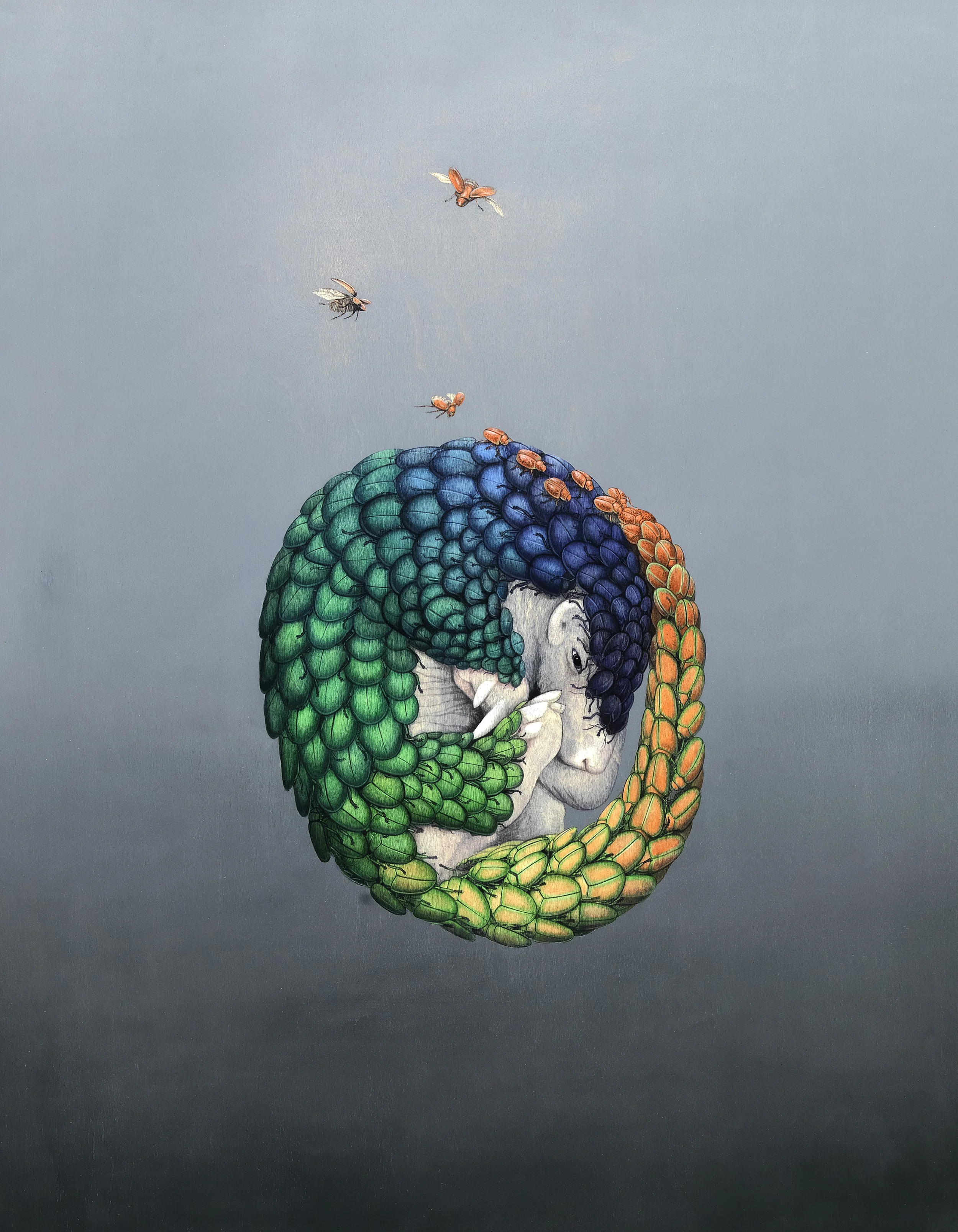 Beetles for Scales