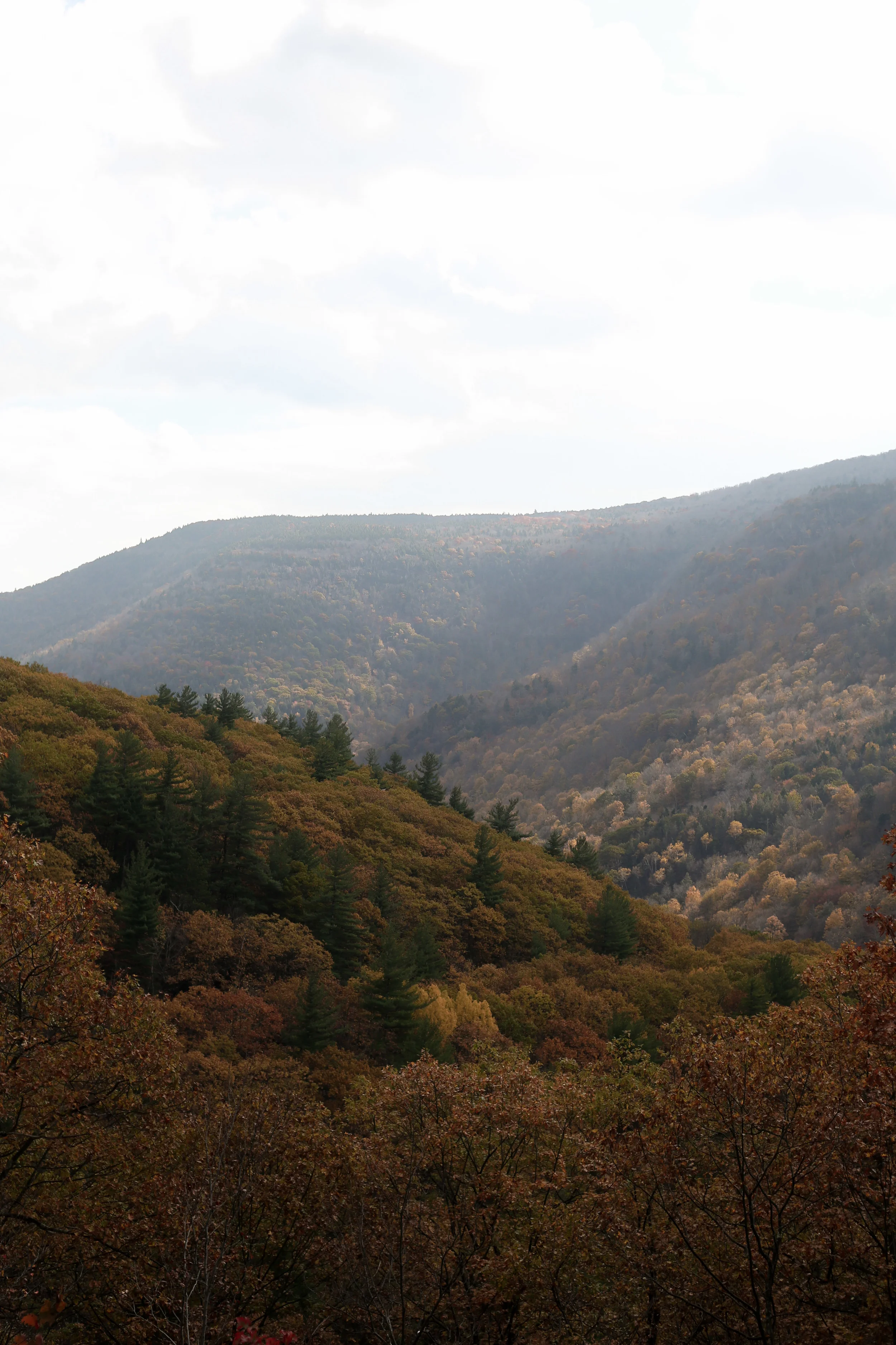Upstate-10.14-0930.jpg