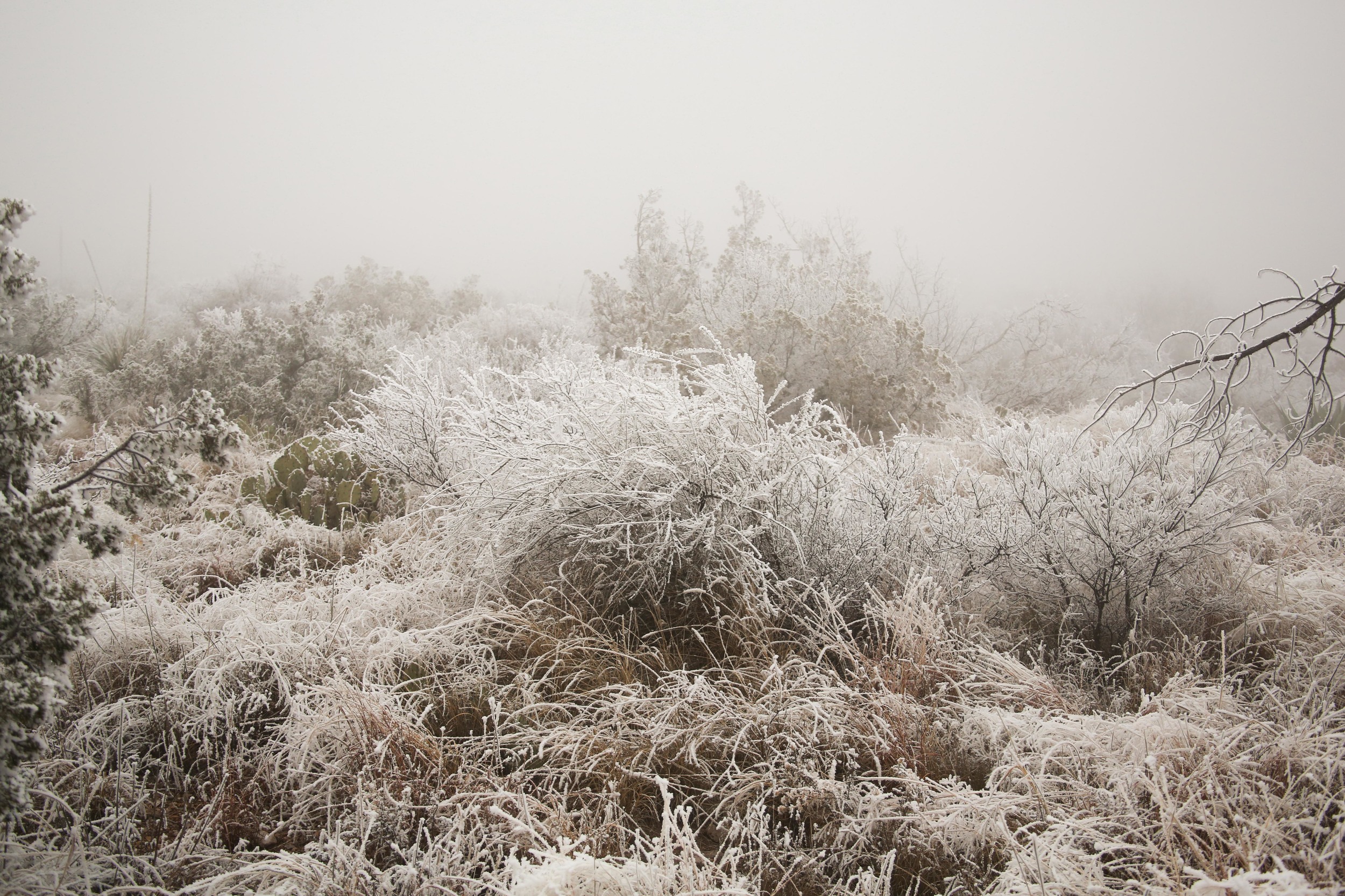 West Texas-9065.jpg