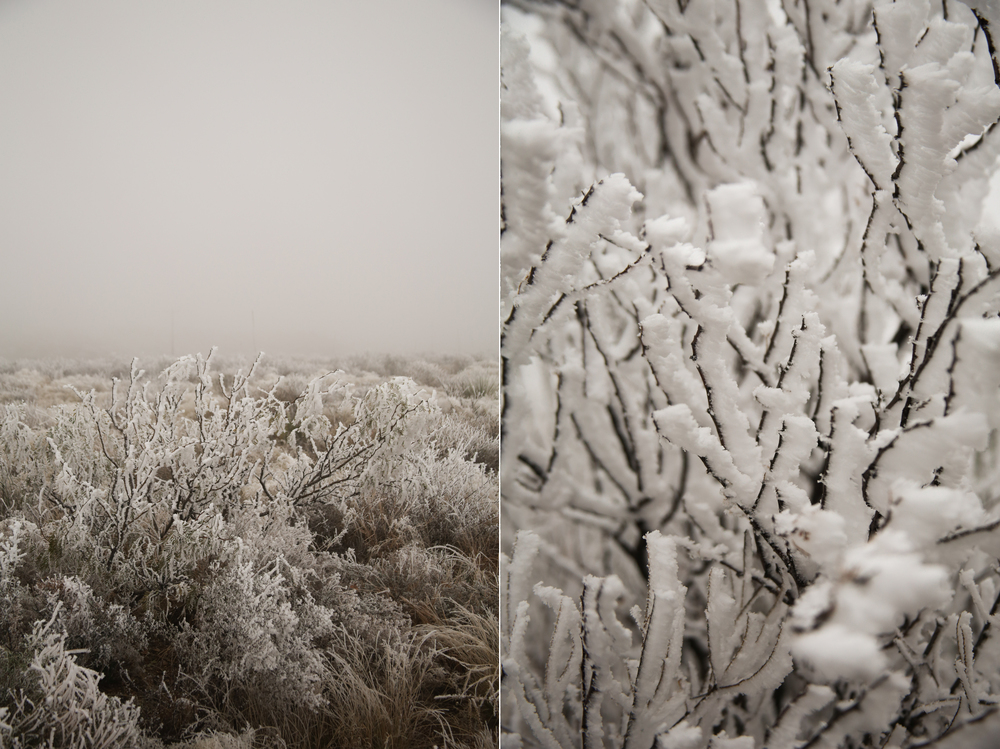 West Texas_2.jpg