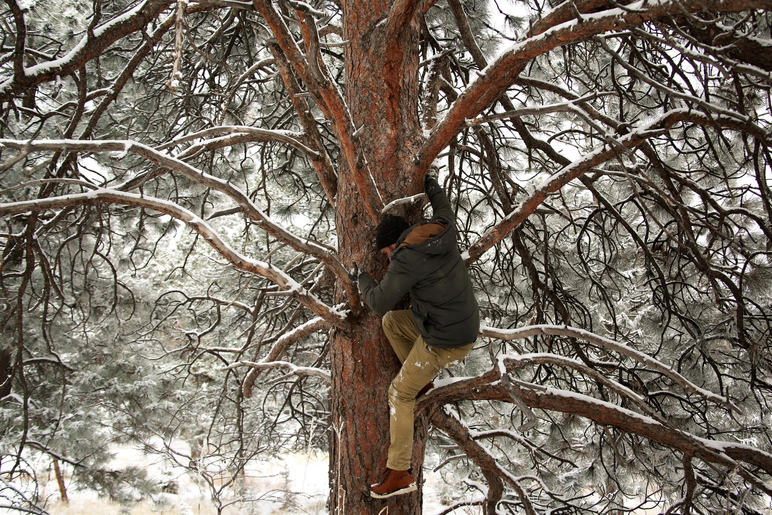 Denver-1012_.jpg