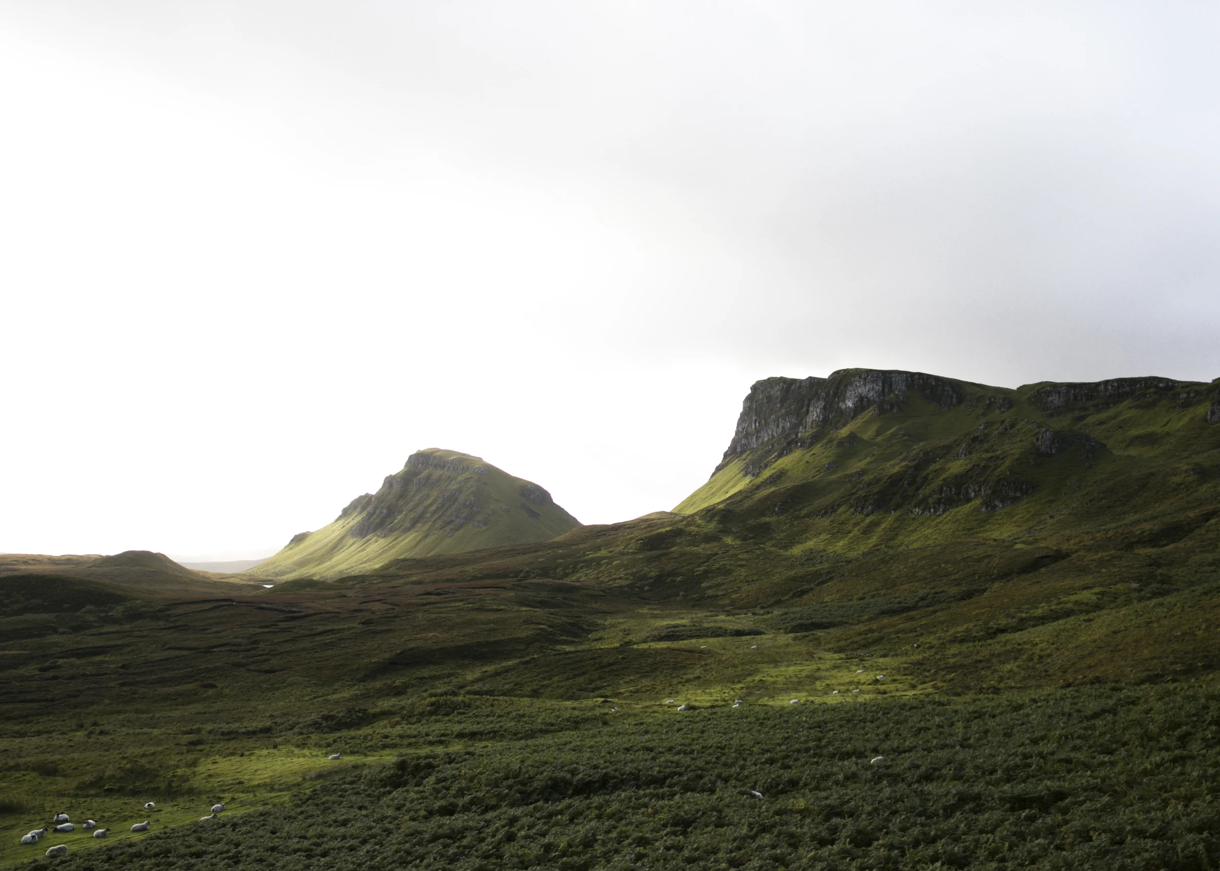 Scotland-0833_1.jpg