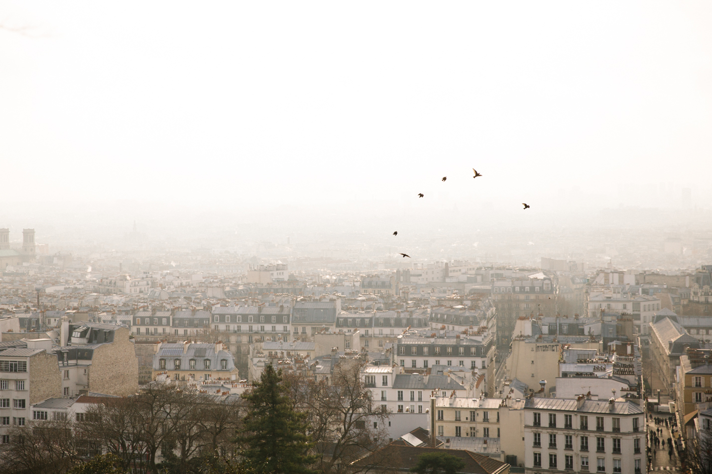 Paris - LindsayBrown -WEB-8465.jpg