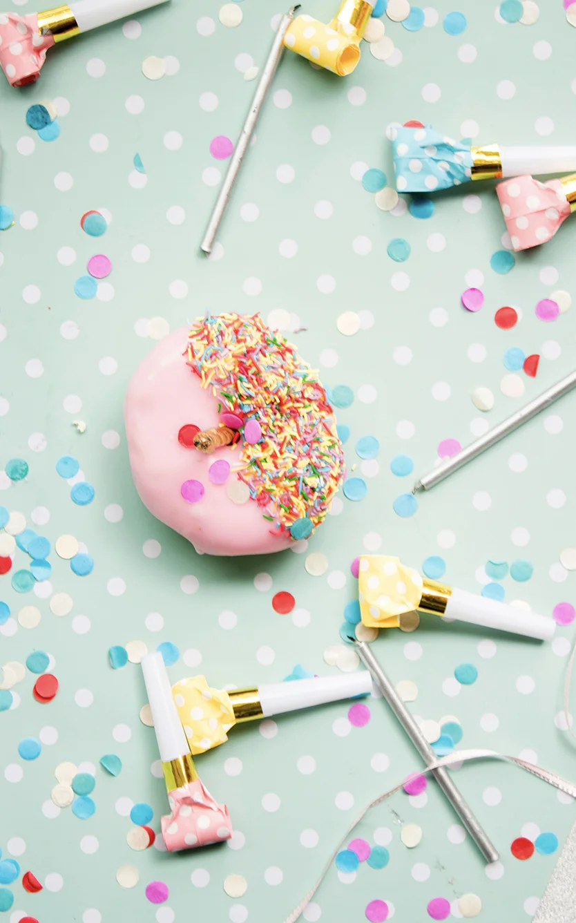 03-portolio feature 5.jpg