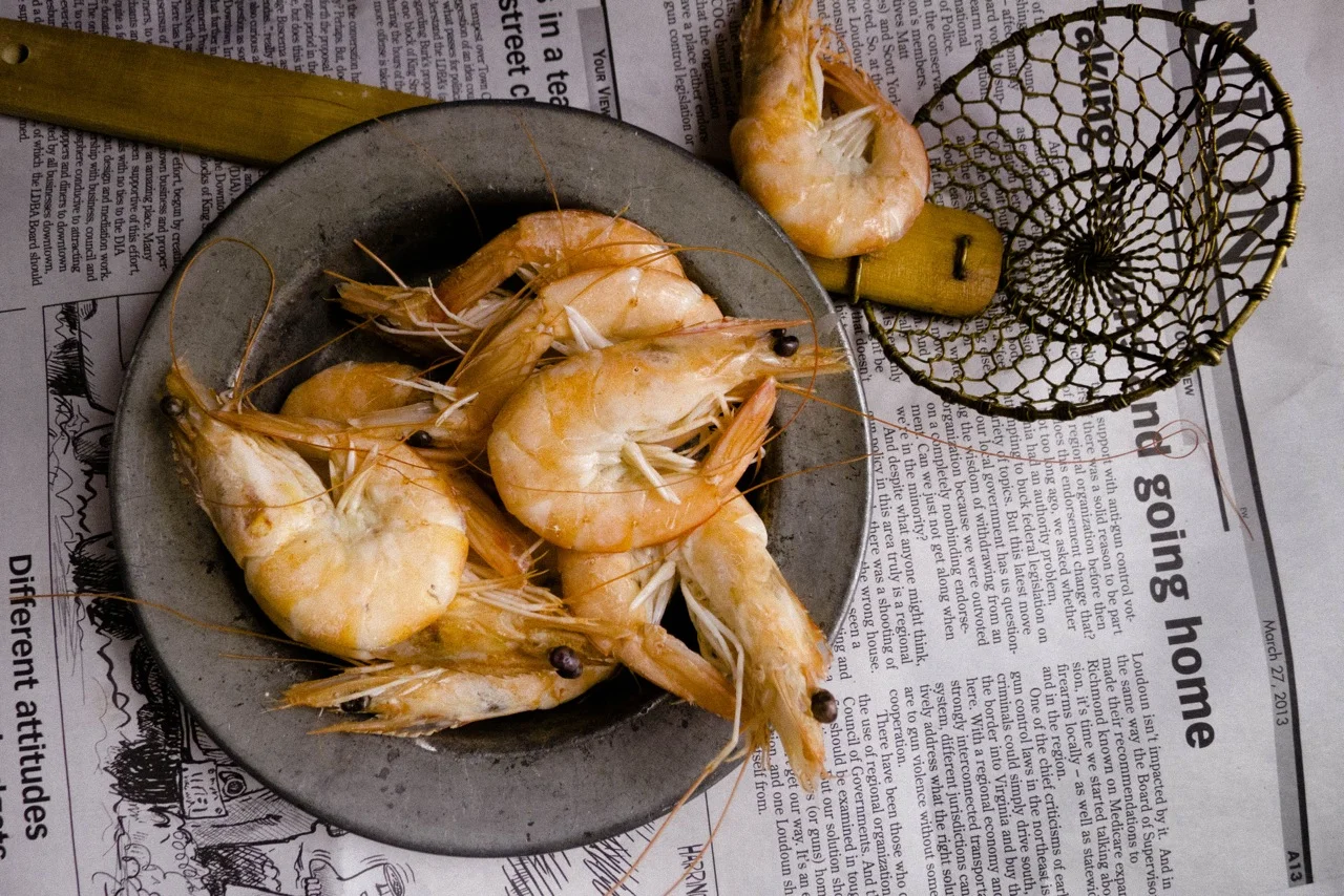 shrimp