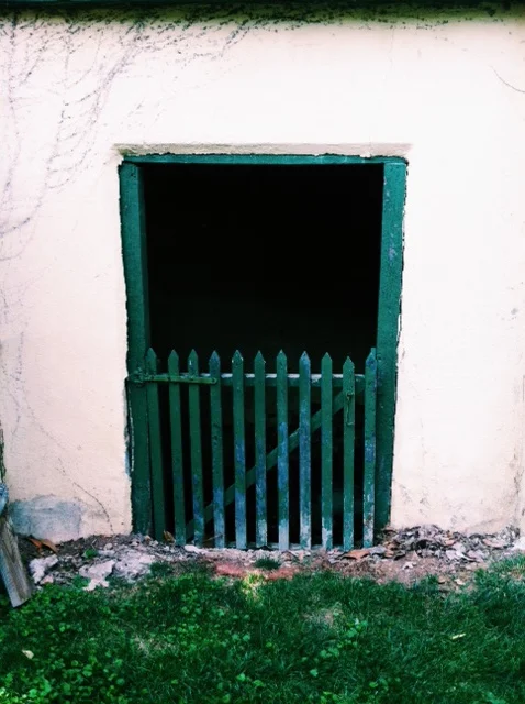vsco_2.jpgvirginia_epicurience_2013.jpeg