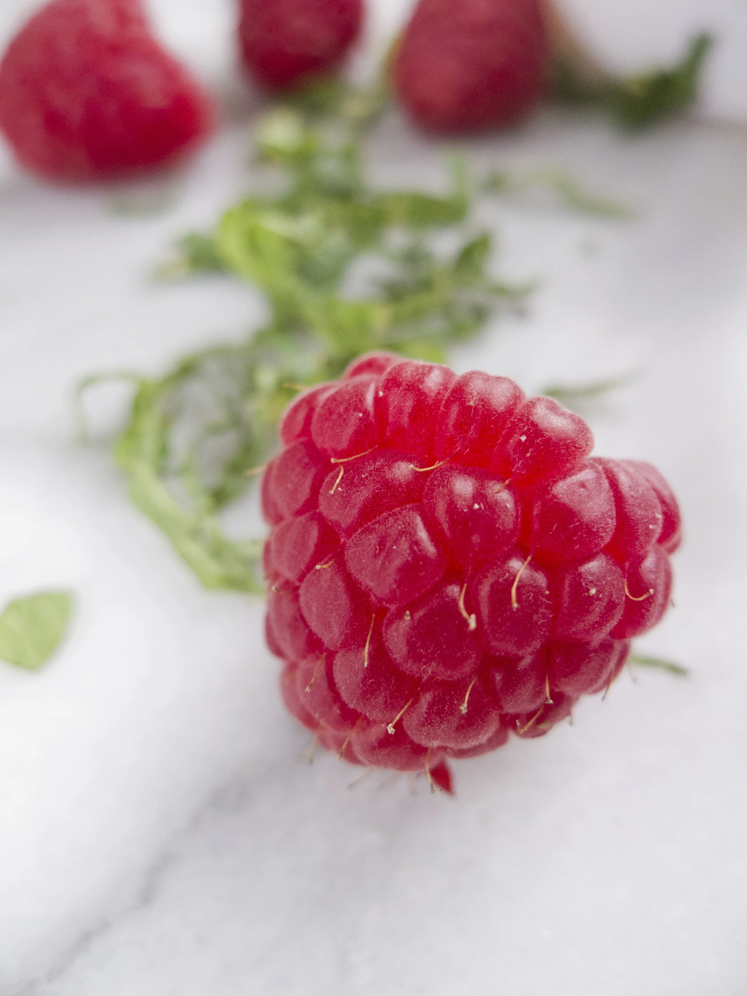 California Dairy low fat raspberry herb pops 