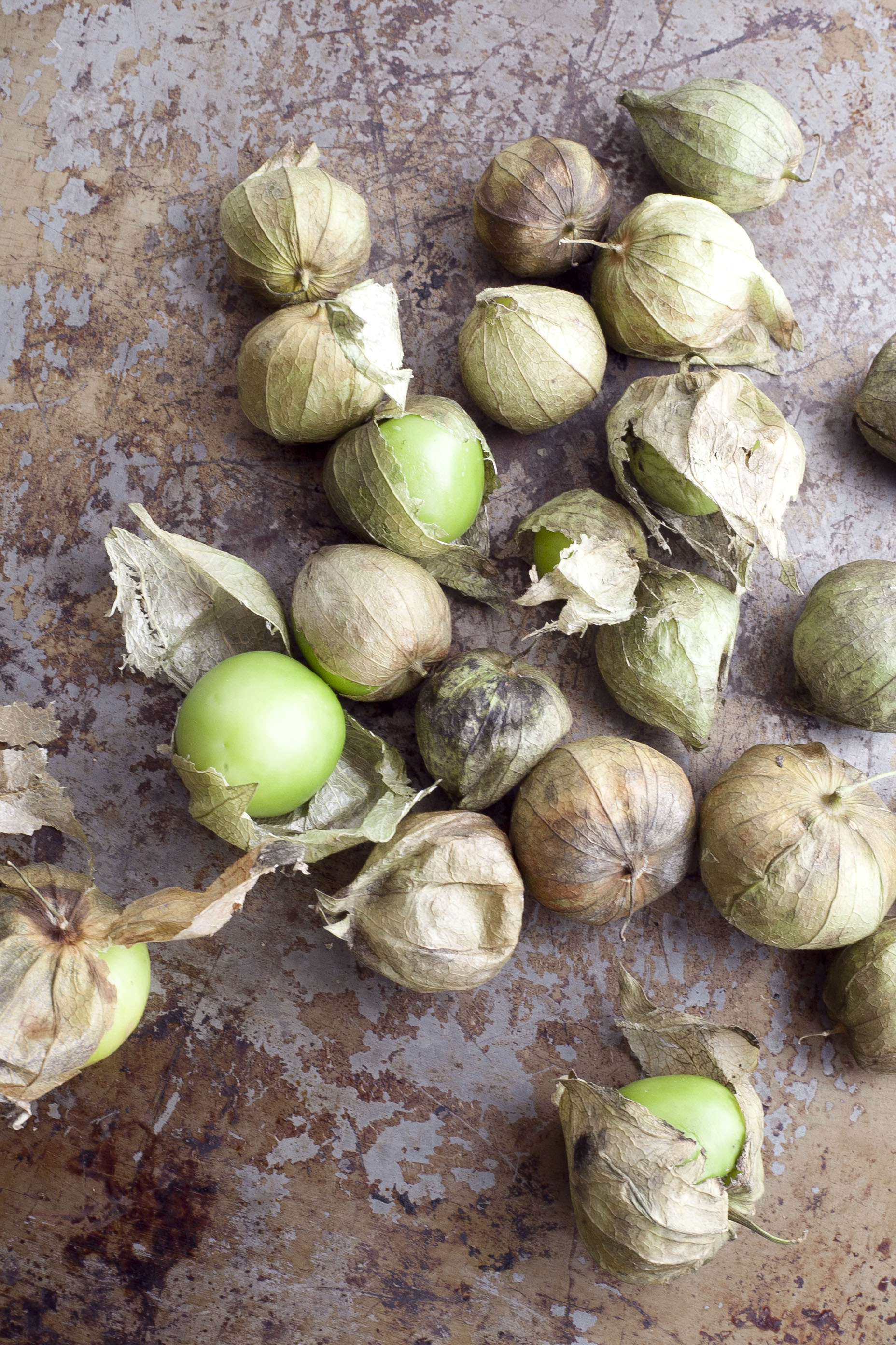 Roasted Tomatillos with Salmon