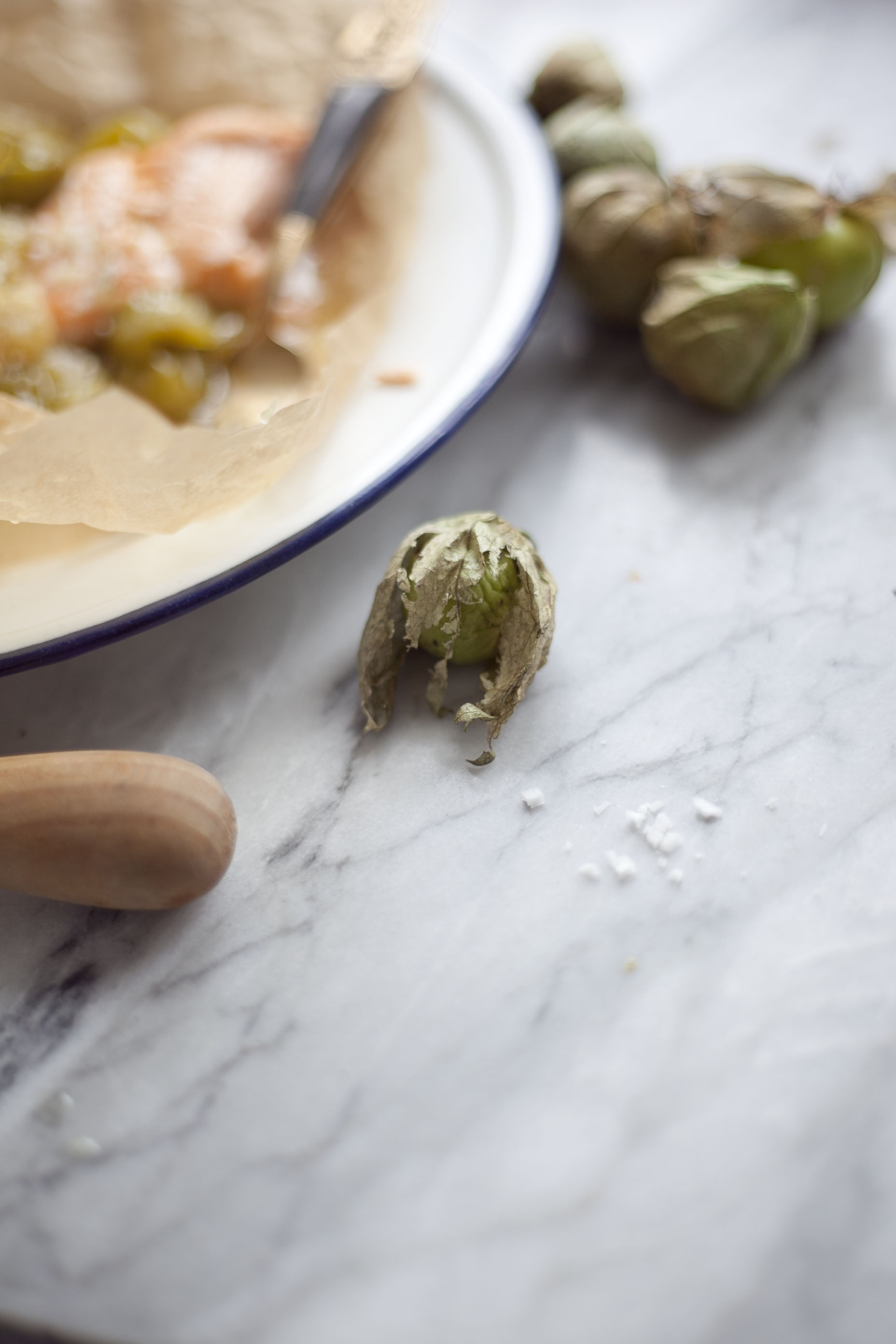 Roasted Tomatillos with Salmon