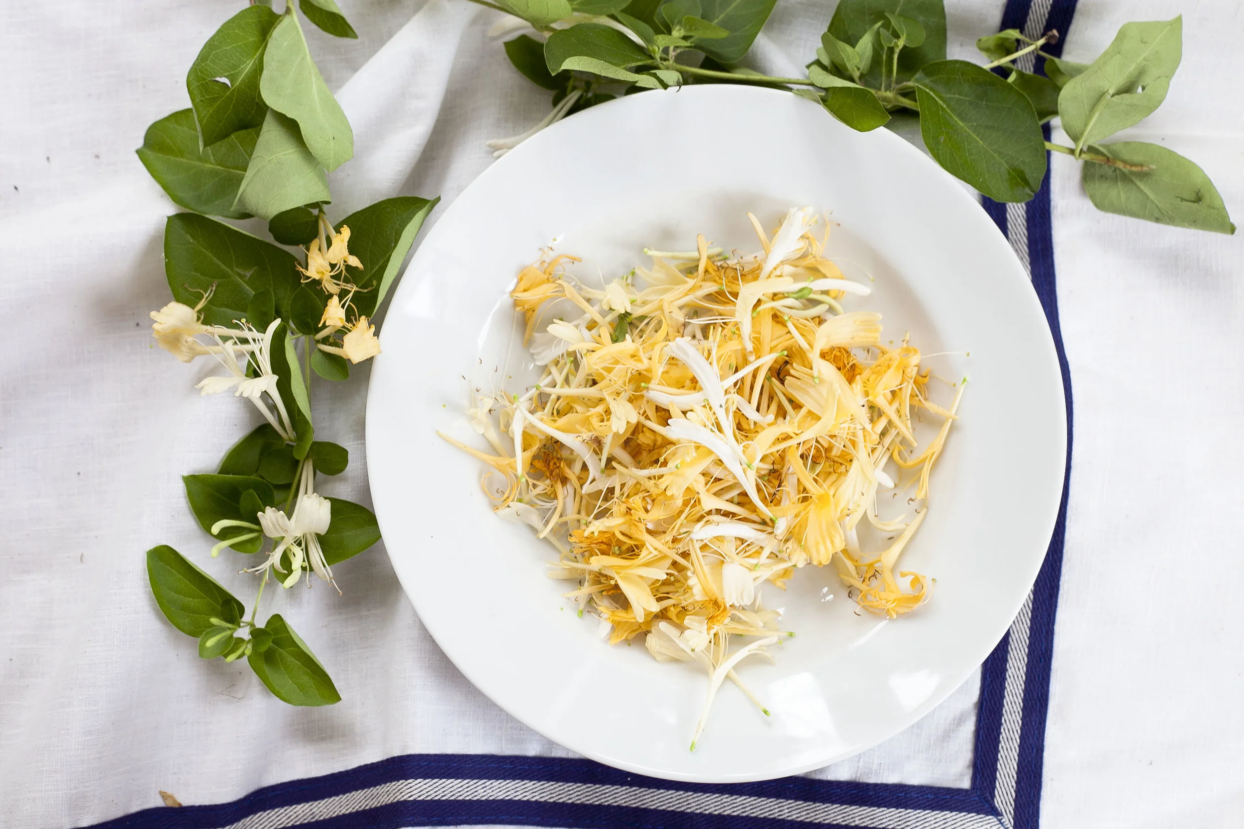 Honeysuckle Simple Syrup 