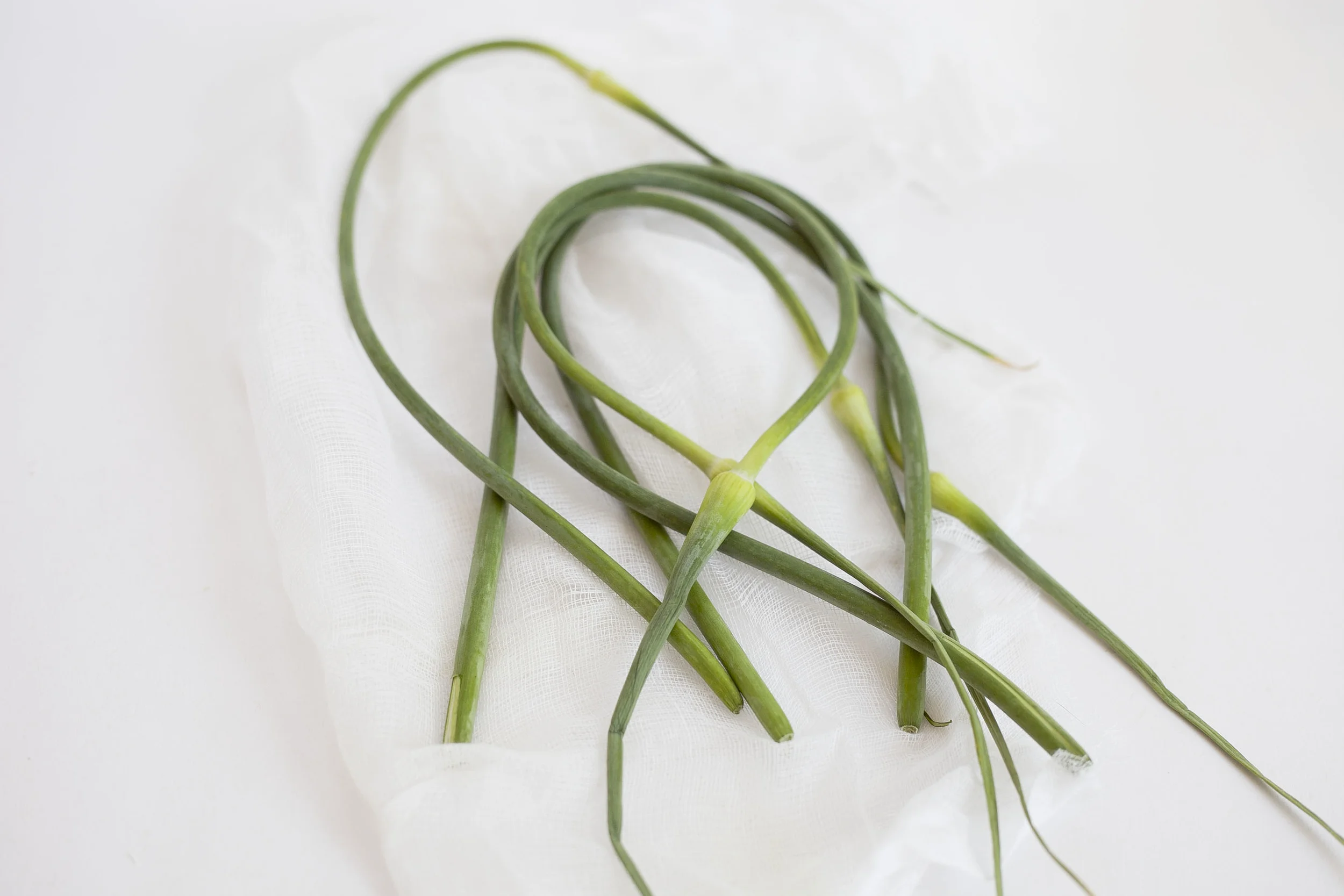 Garlic Scape 101 Recipe 