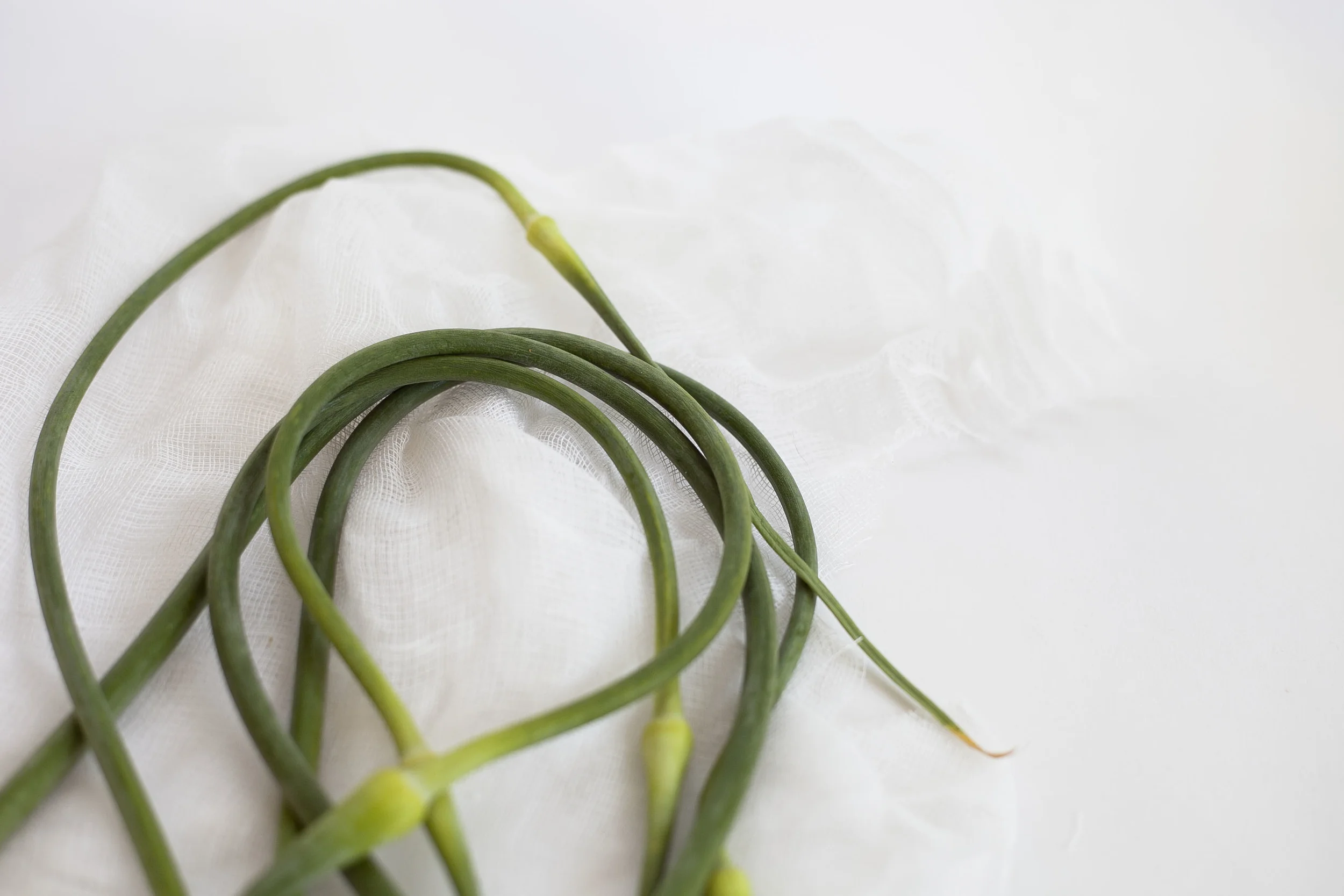 Garlic Scape 101 Recipe 