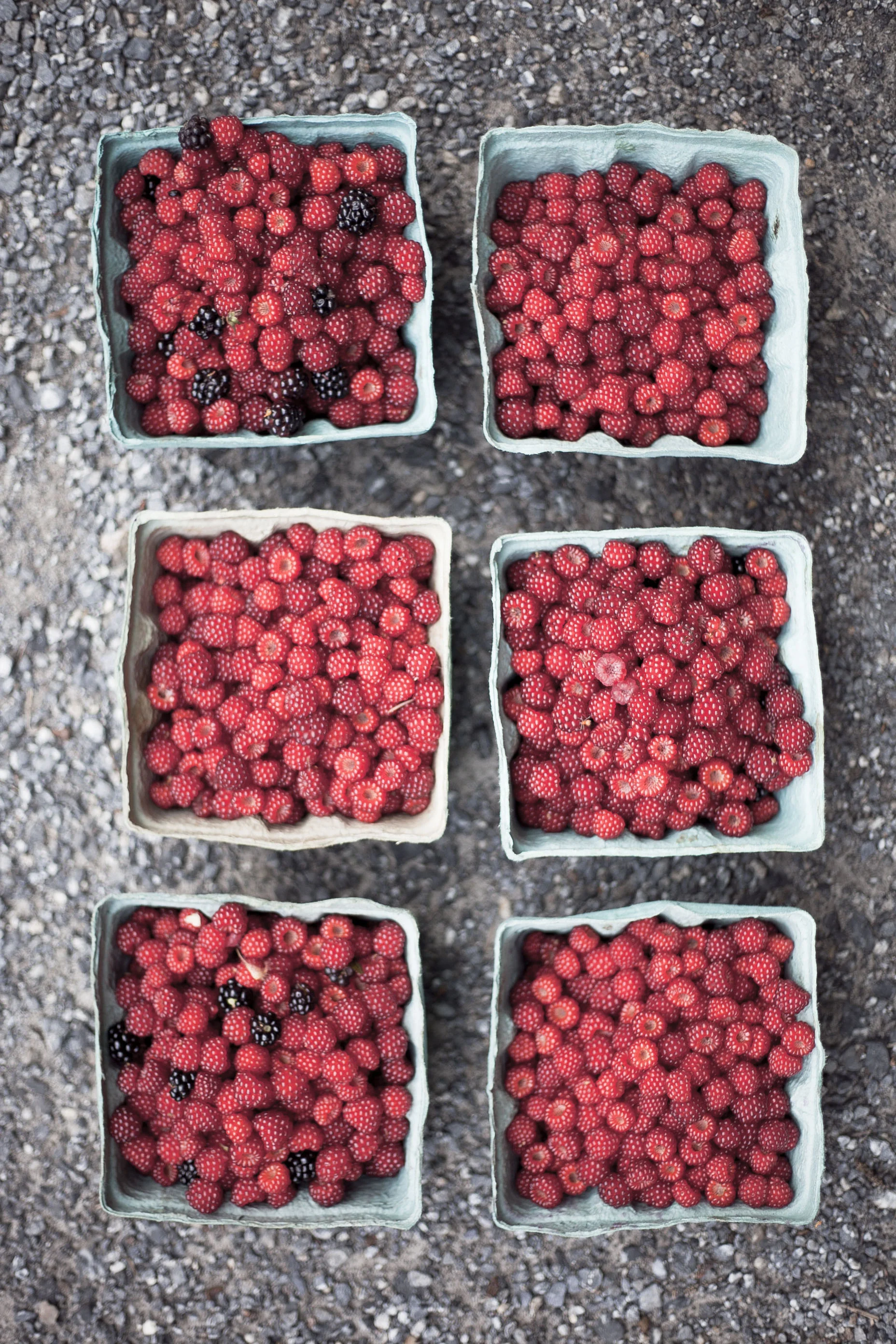 Wineberry Schaum Tortes and Pavlovas