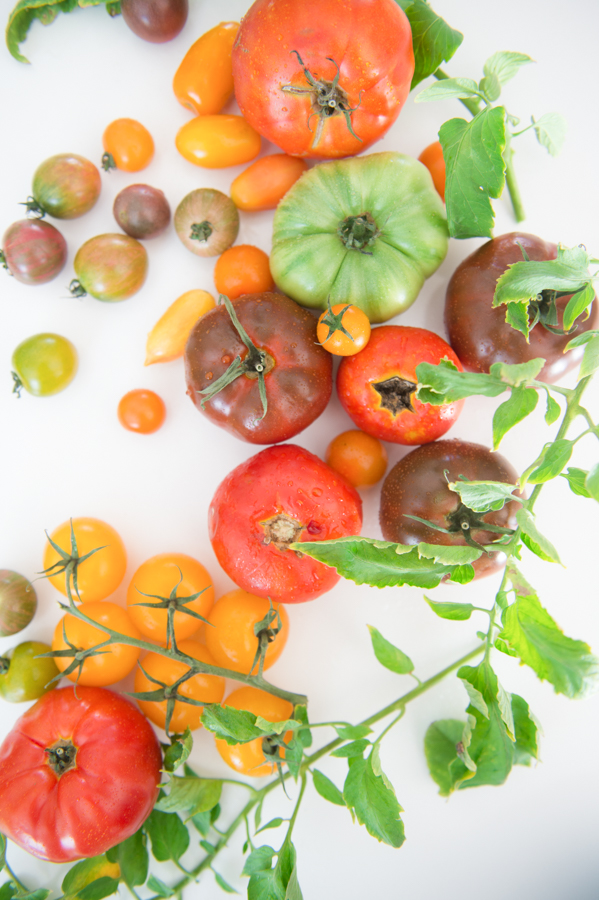 Summer Styled Shoot: Heirloom Tomatoes