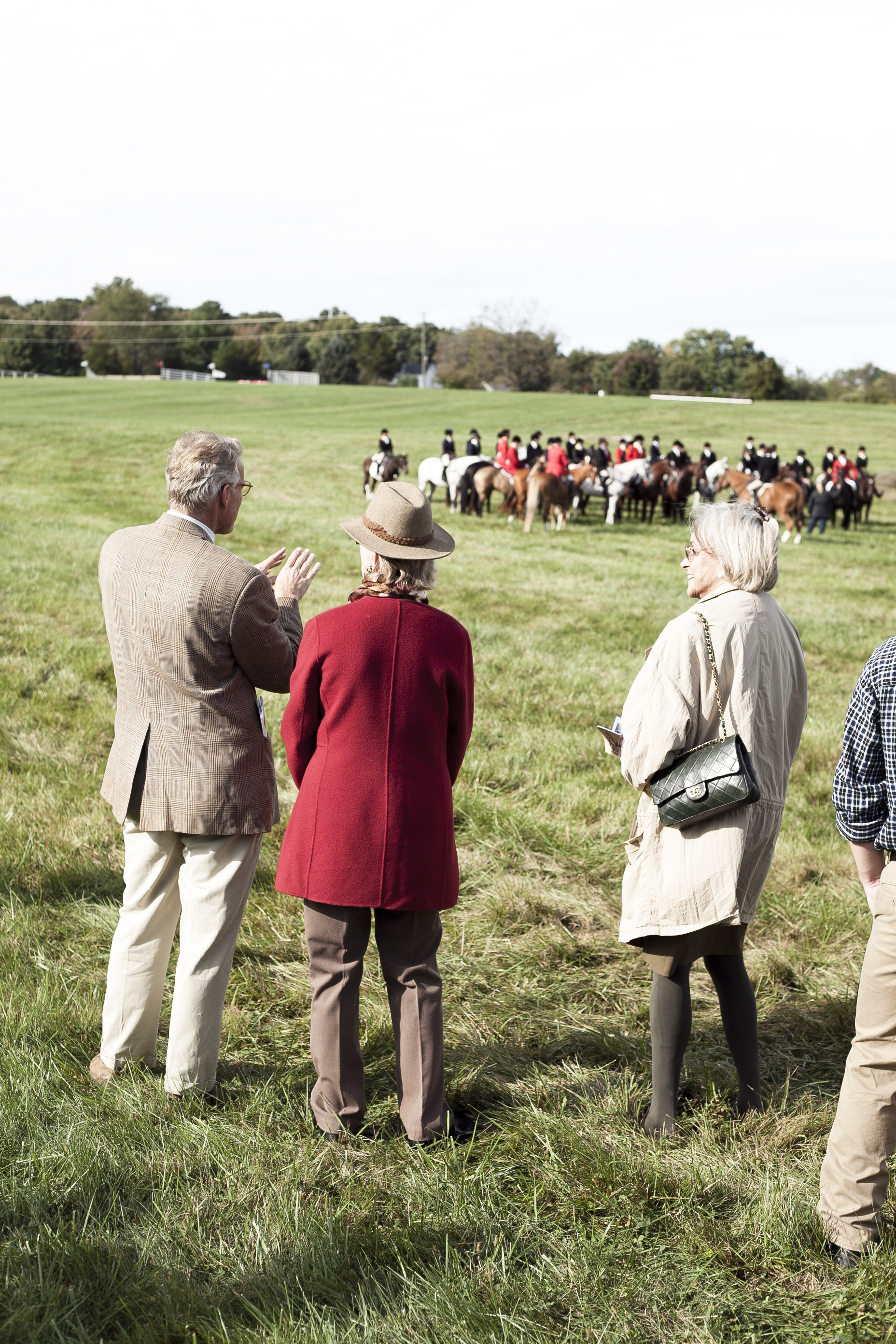 VA fall horse races, middleburg va