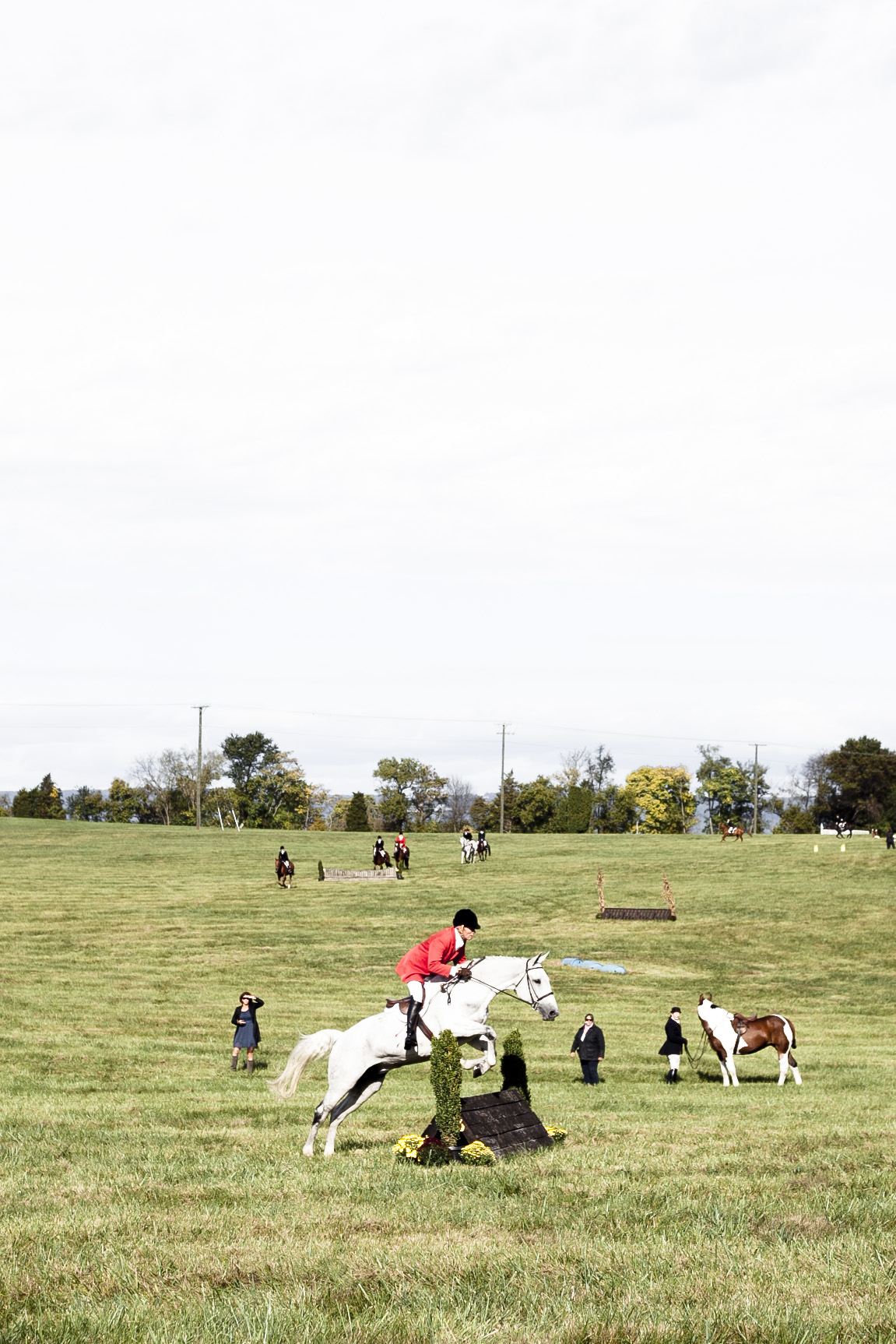 VA fall horse races, middleburg va