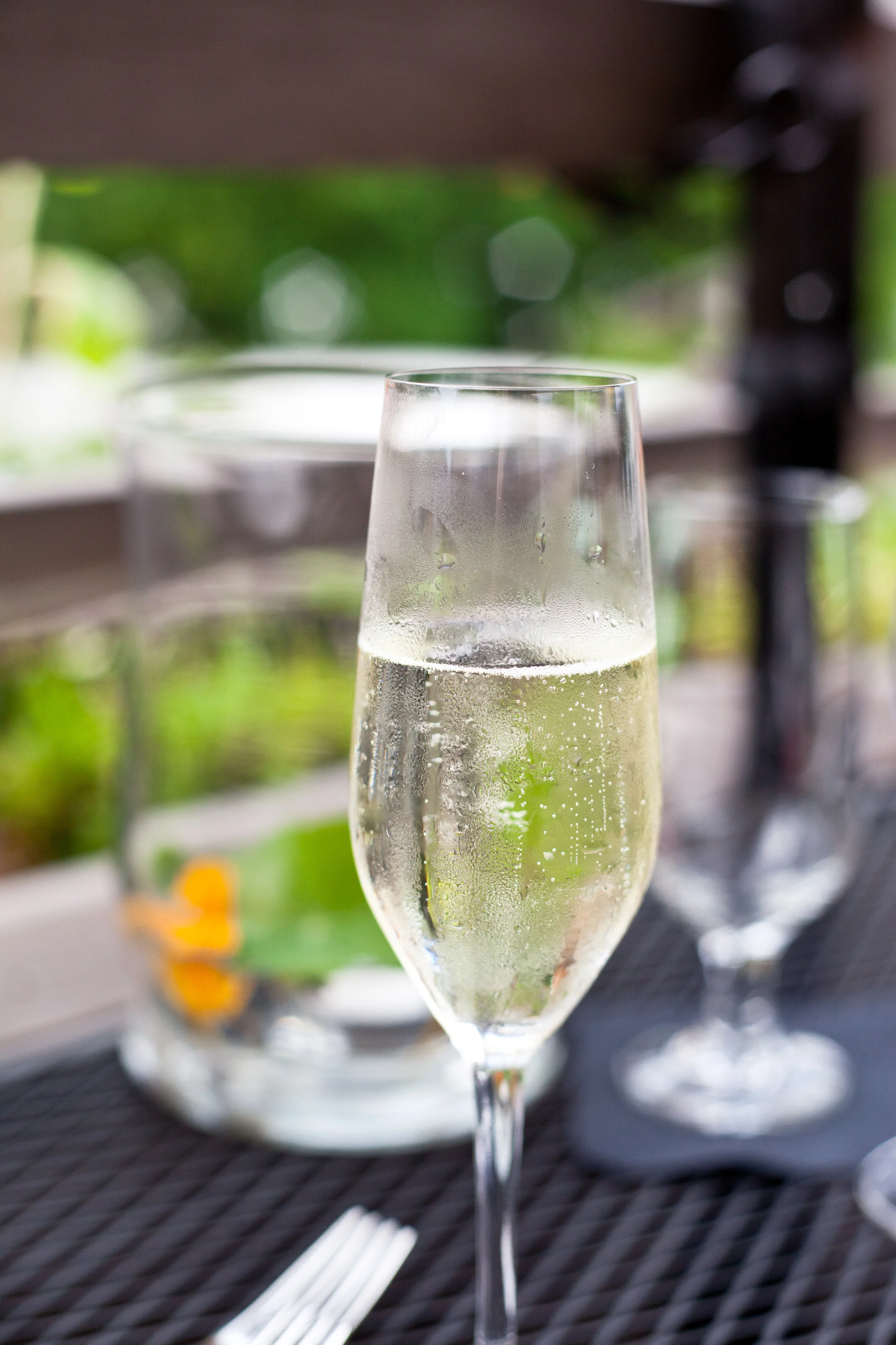 Women in Food ROOF TOP DINNER: Photos and Recap