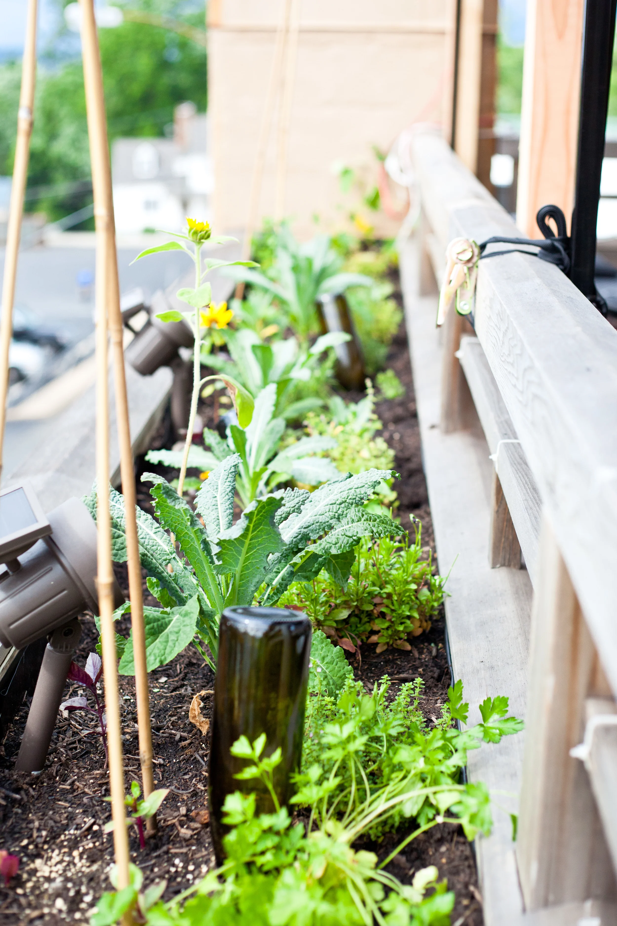 Women in Food ROOF TOP DINNER: Photos and Recap