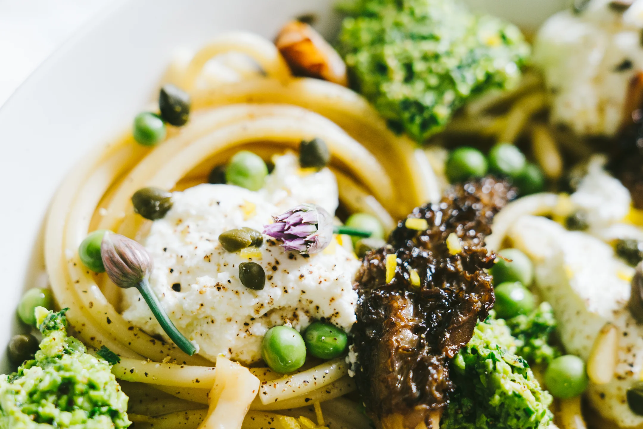 spring pea pesto bucatini with morrells, ricotta and capers