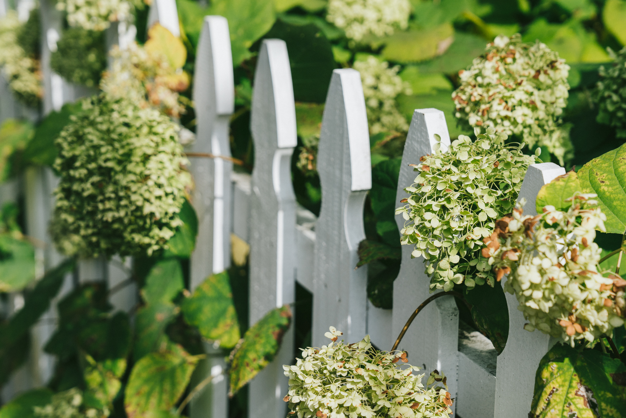 Fall Virginia Weekend: Waterford Fair