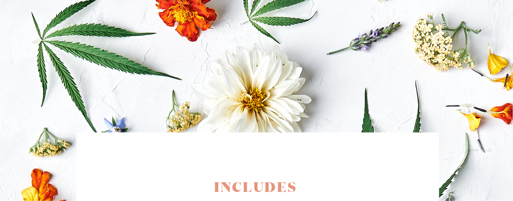 floralheaderfooter-27.png