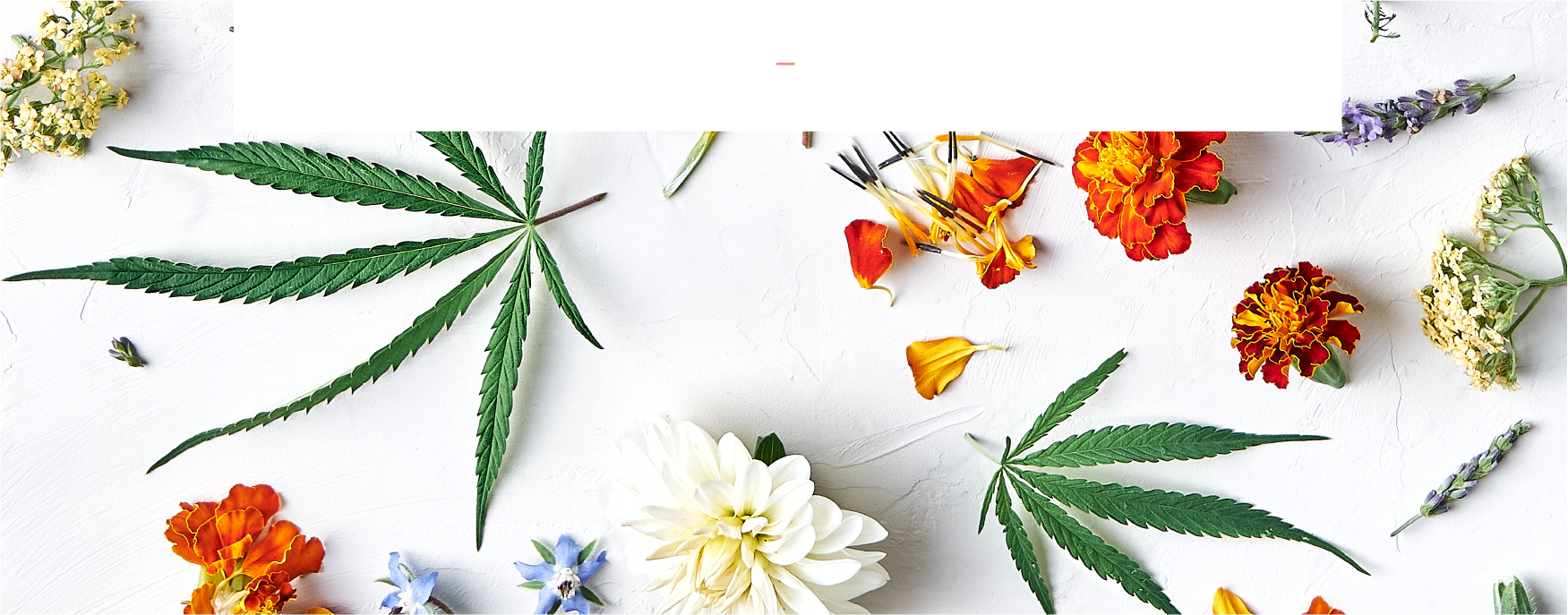 floralheaderfooter-38.png