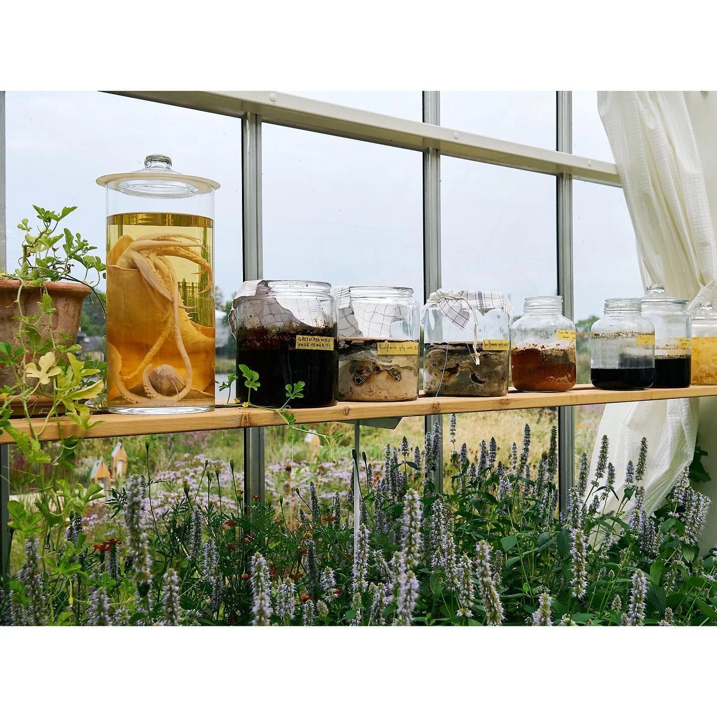 Quiet but busy: booked with client photo shoots for the coming weeks, our first @clever.beast product is coming late spring/ early summer. I&rsquo;m not patient (Efficiency is my love language) but I can be strategically patient when required (e.g. a