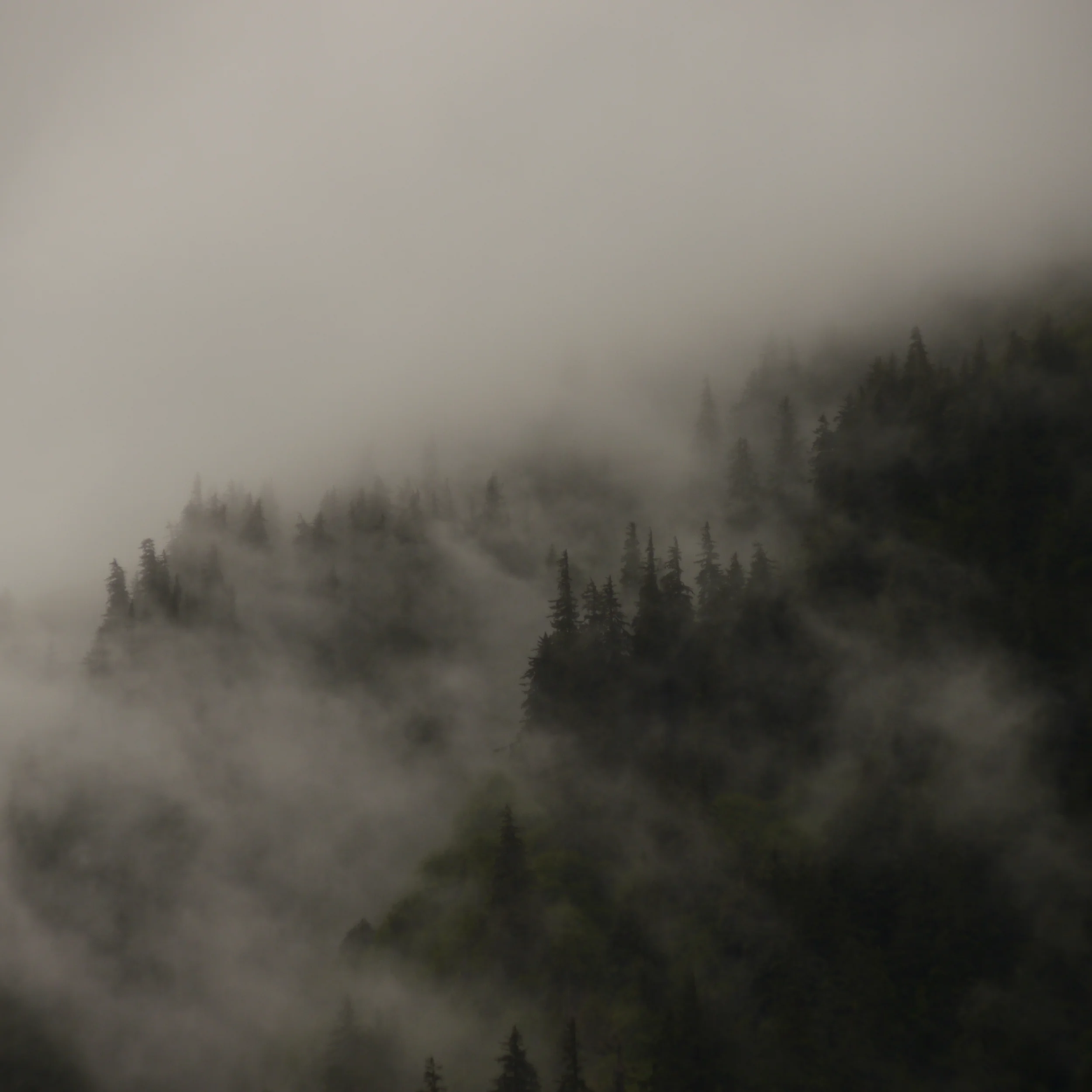  Mount Juneau, Alaska 