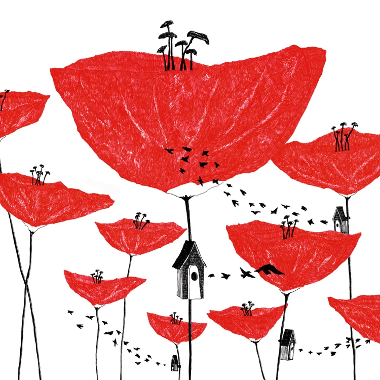 poppies.jpg