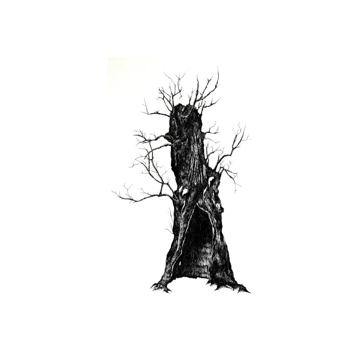 Tree.jpg