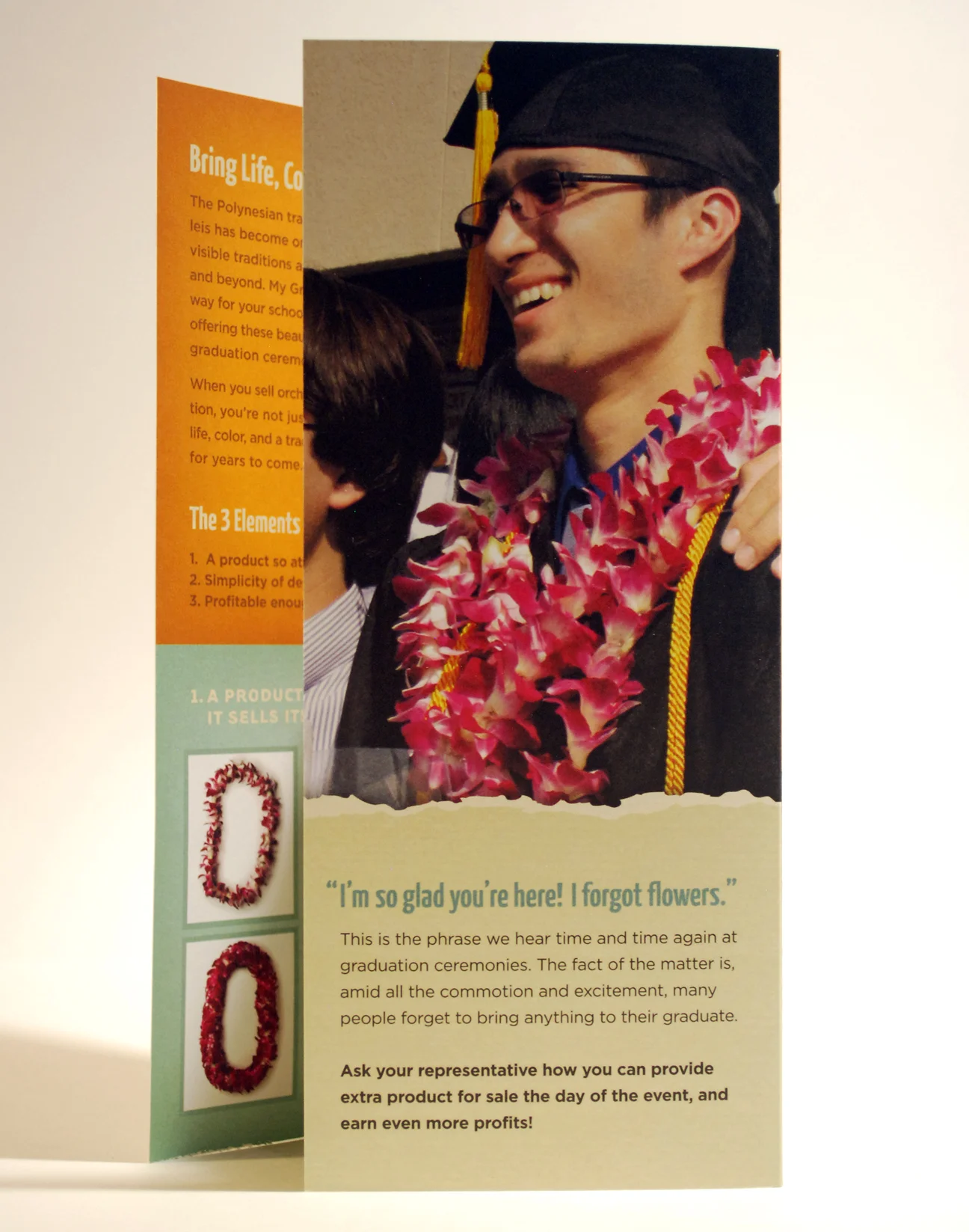   Brochure Design (inside spread)  