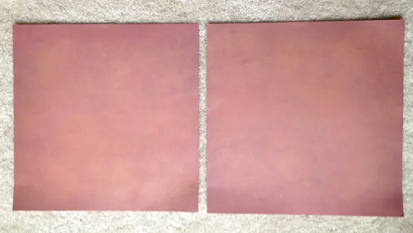 Identical Papers