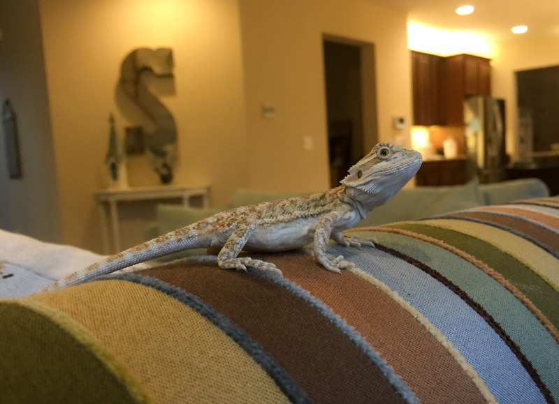 exploring
