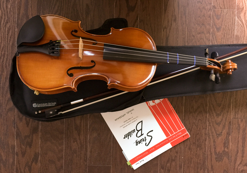 My violin, and "The Red book"