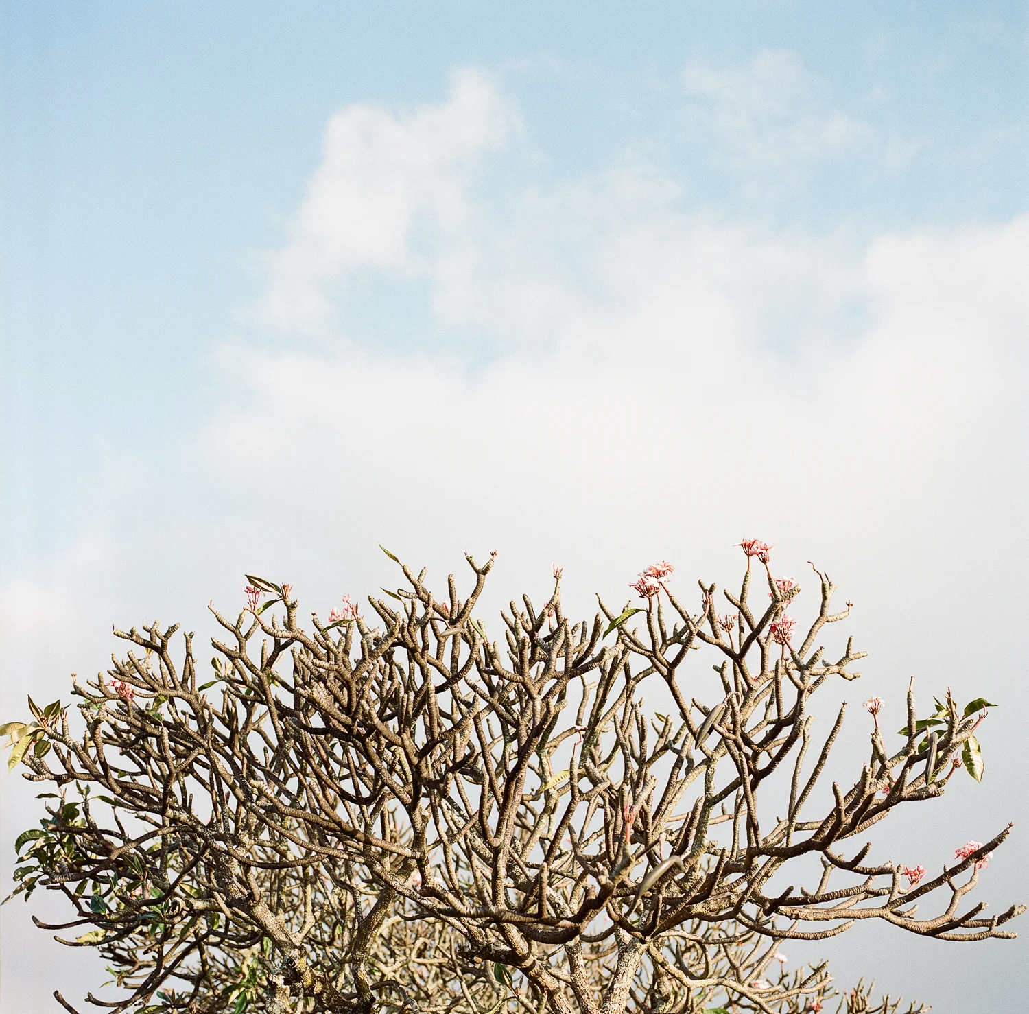 2015_Travel-64.jpg