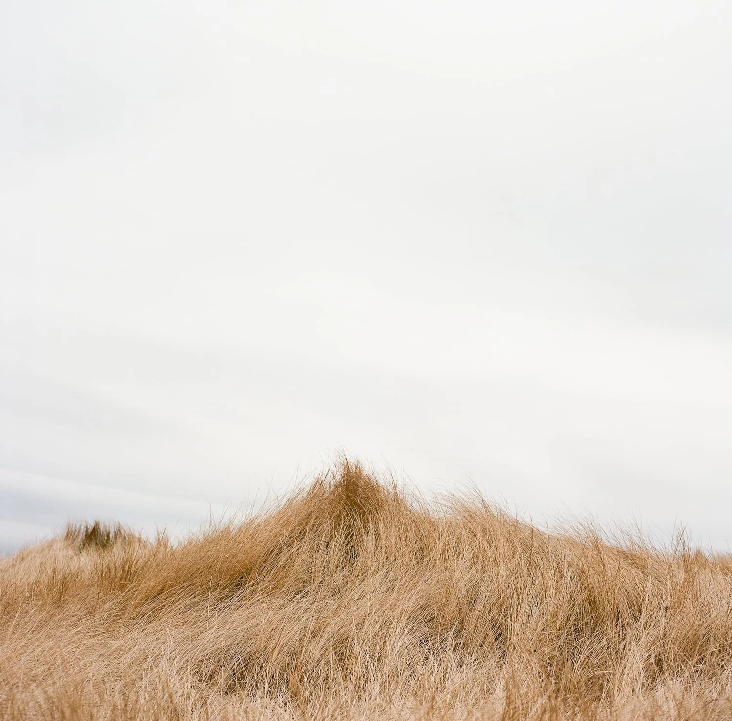 Mounds-20.jpg