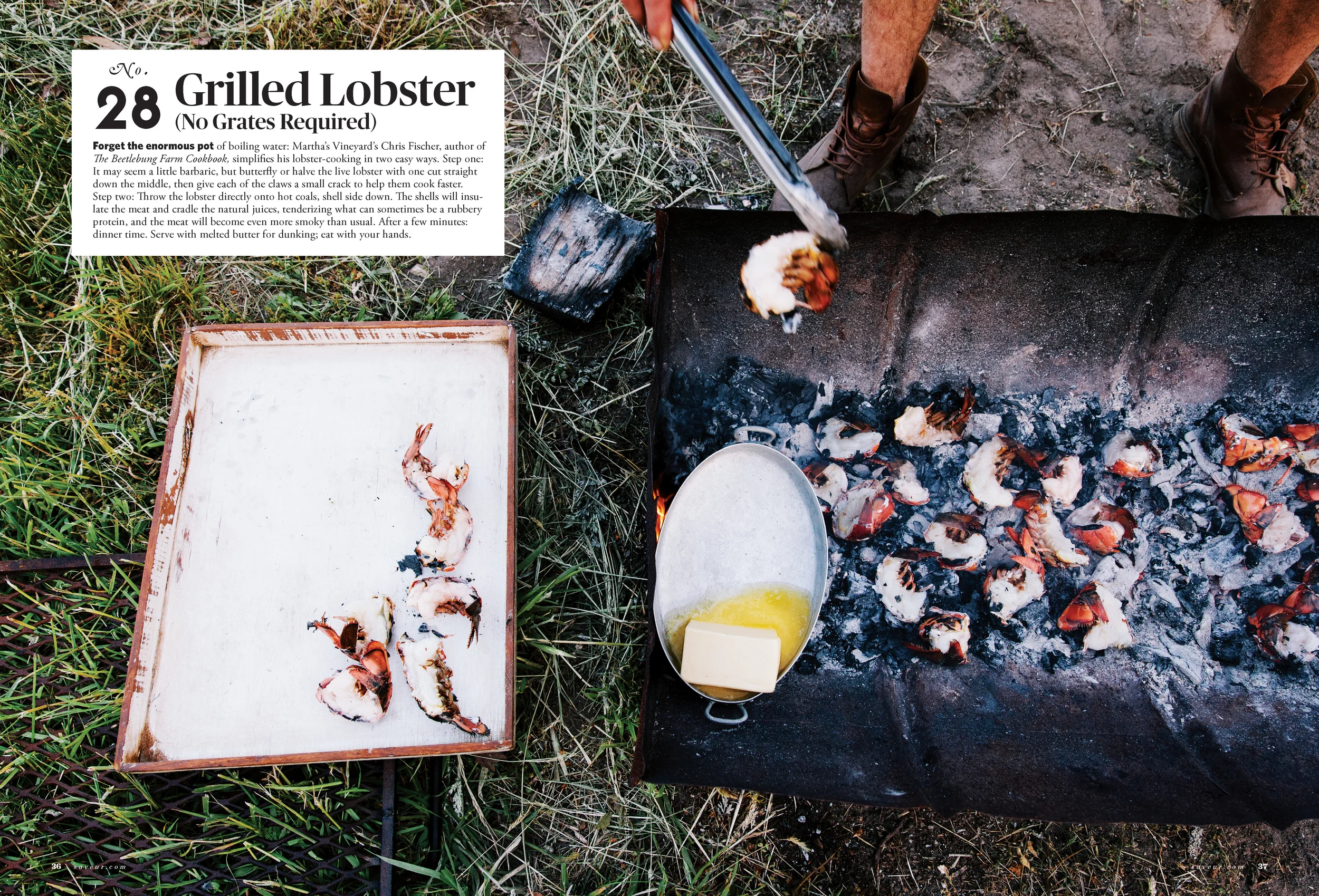 SAV100-GrilledLobster.jpg