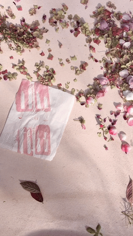 giphy (1).gif
