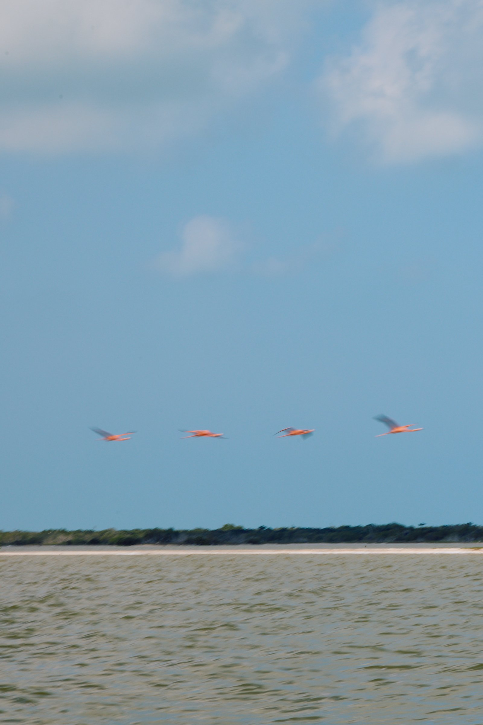 20250114mx_El_Cuyo-1052.jpg