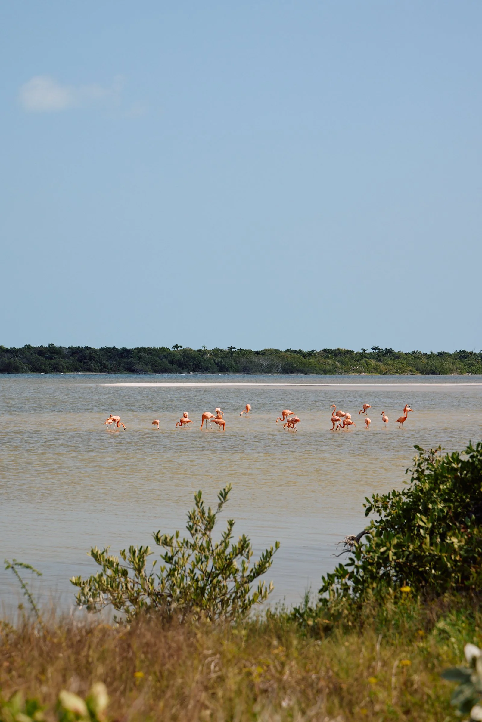 20250114mx_El_Cuyo-1182.jpg