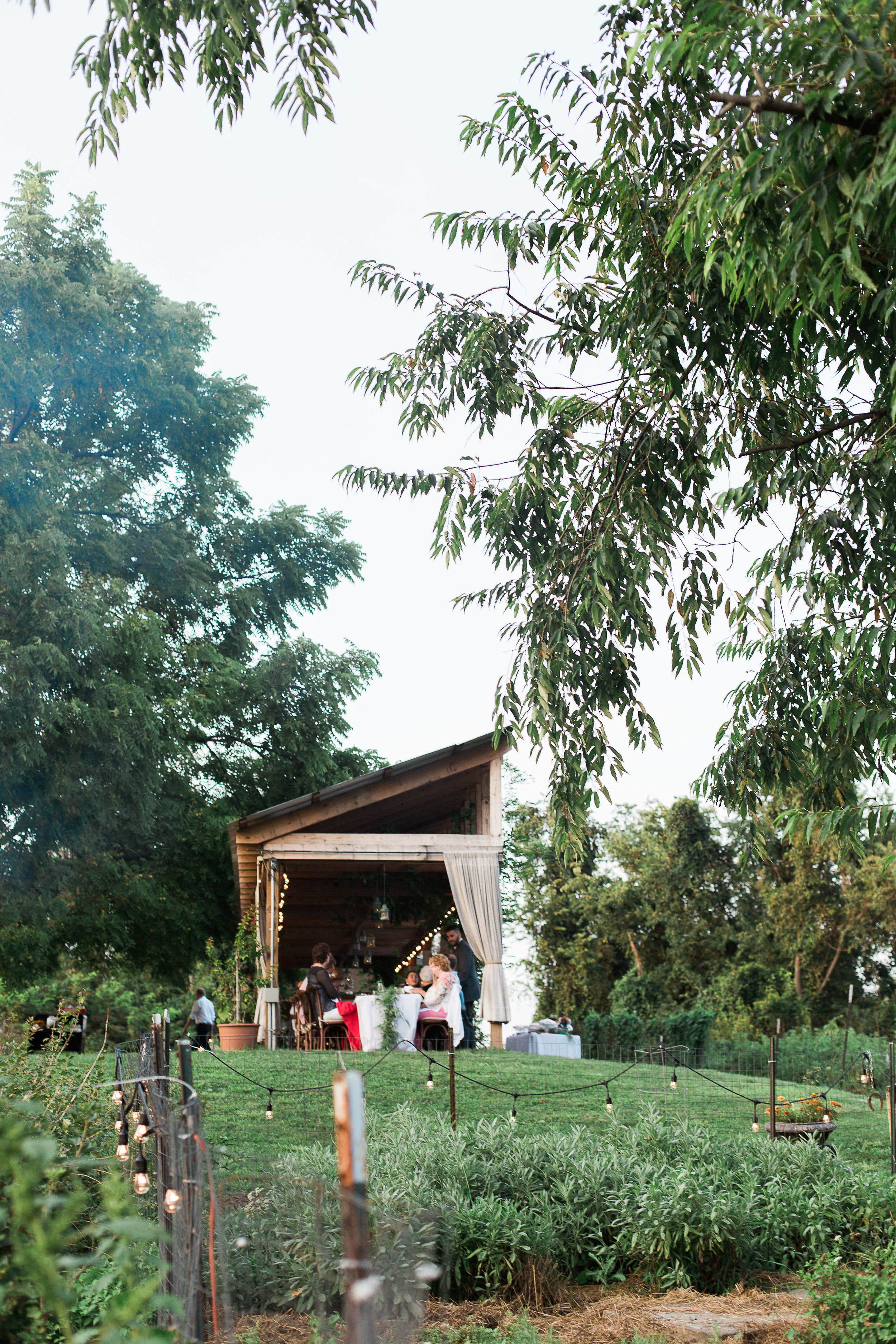 Breanna Elizabeth Photography