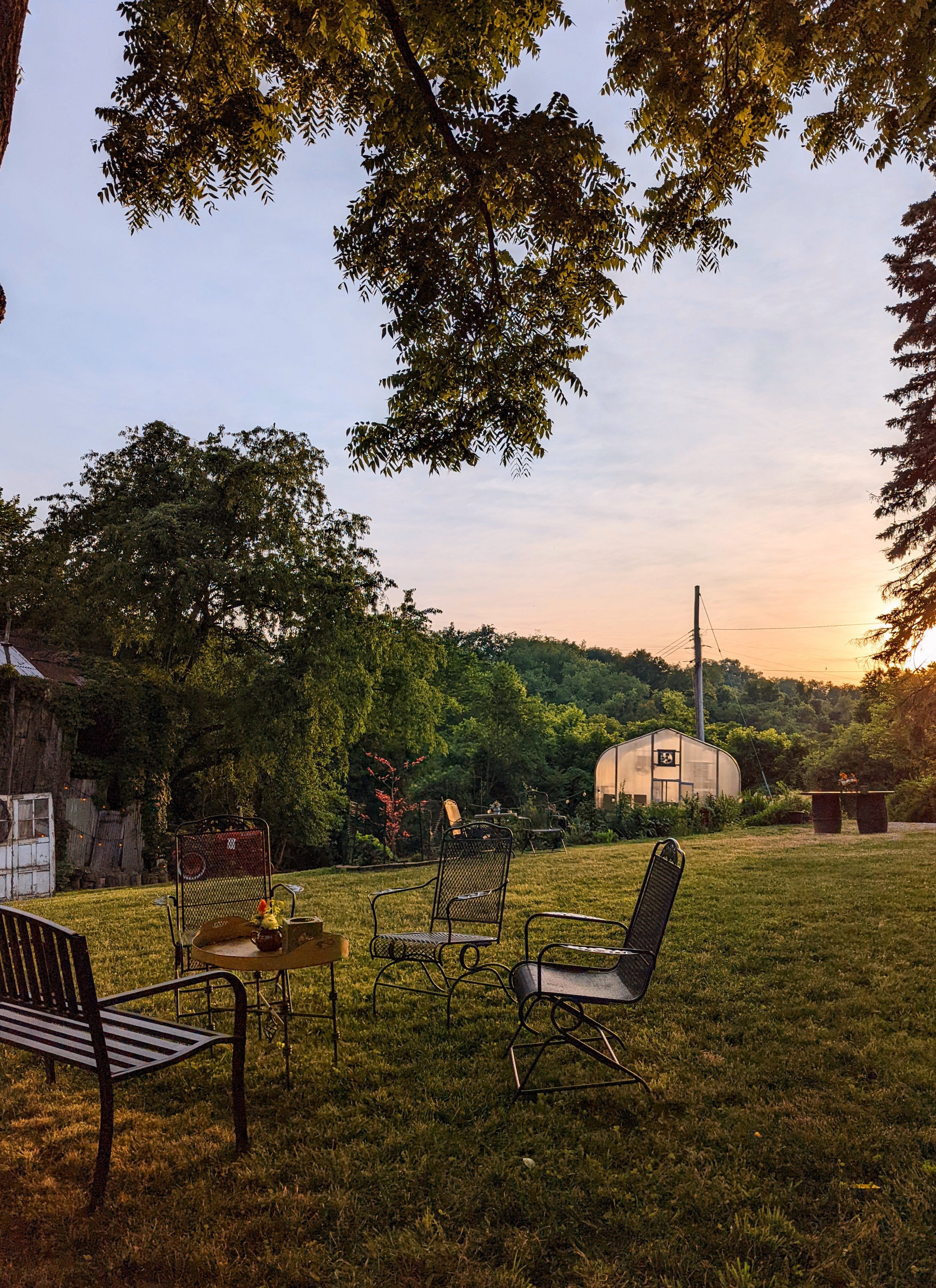 yard sunset.jpg