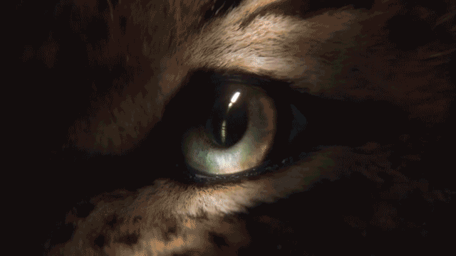 1332747592_a.gif