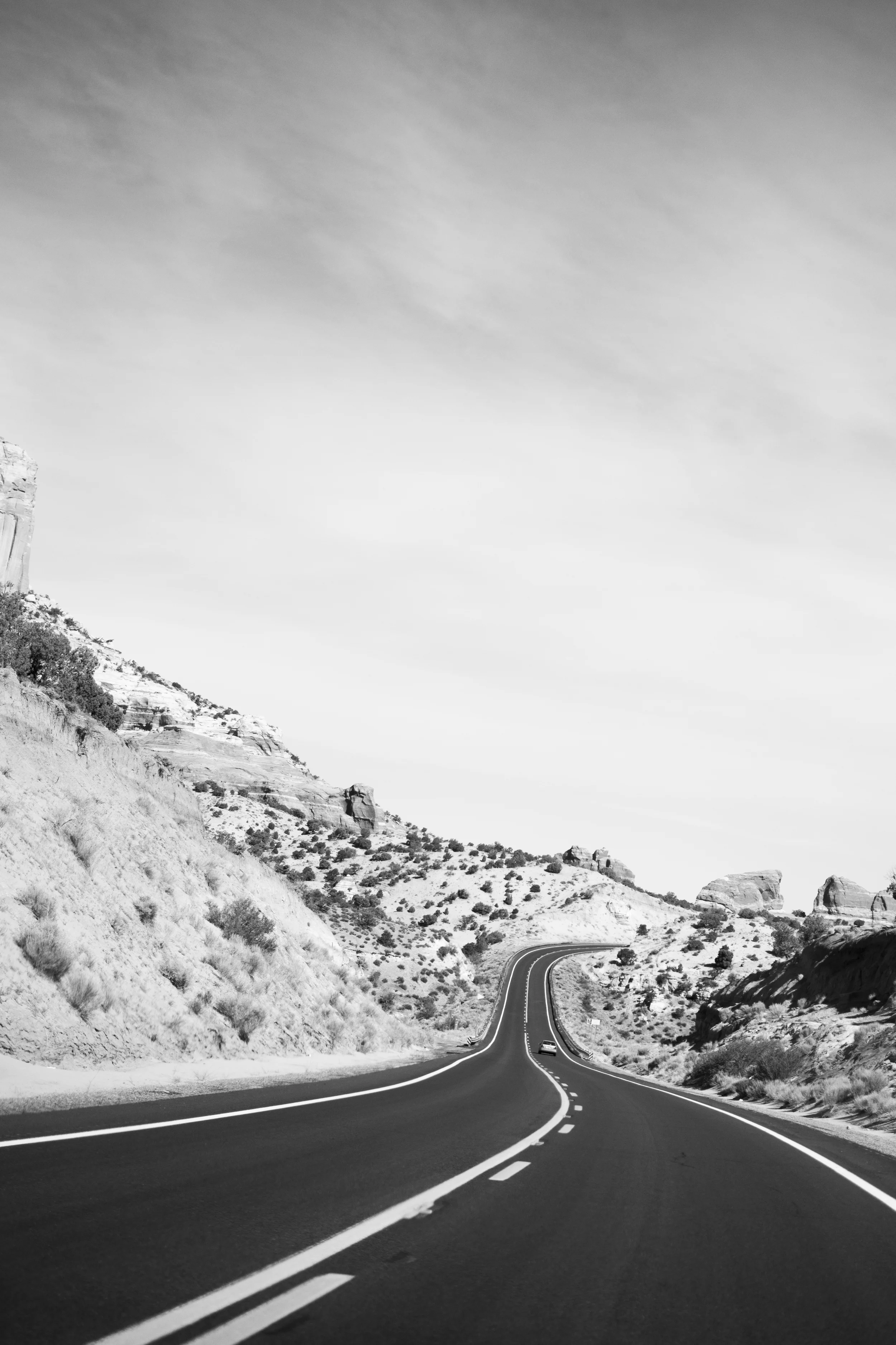 DSC_0298bw.jpg