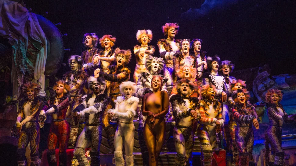 The Cats Company photo credit : Matt Murphy