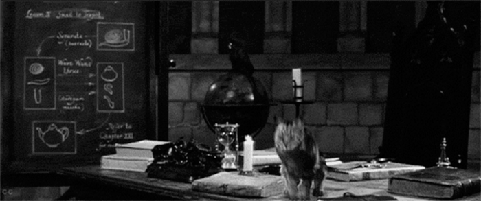 image.gif