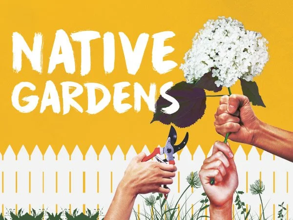 Native Gardens plays Syracuse Stage February 13 – March 3, 2019