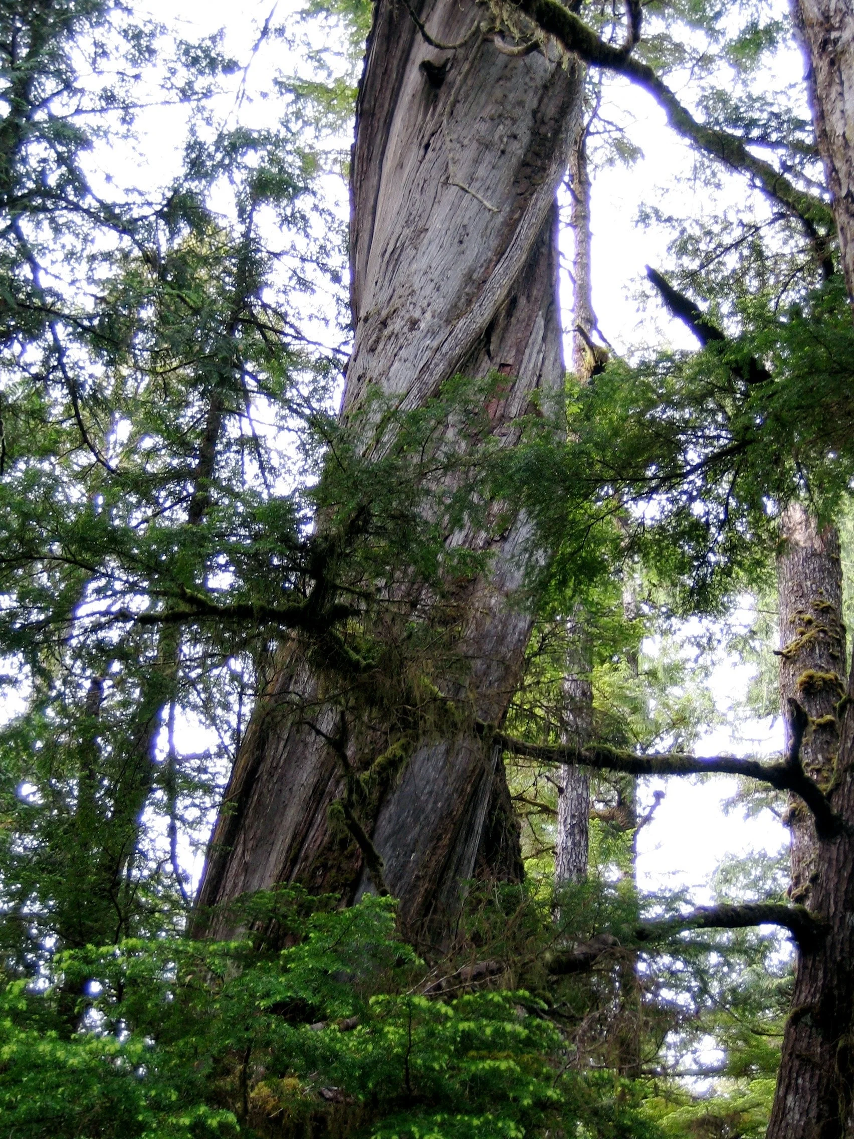 2005-06-15 18.44.26.jpg